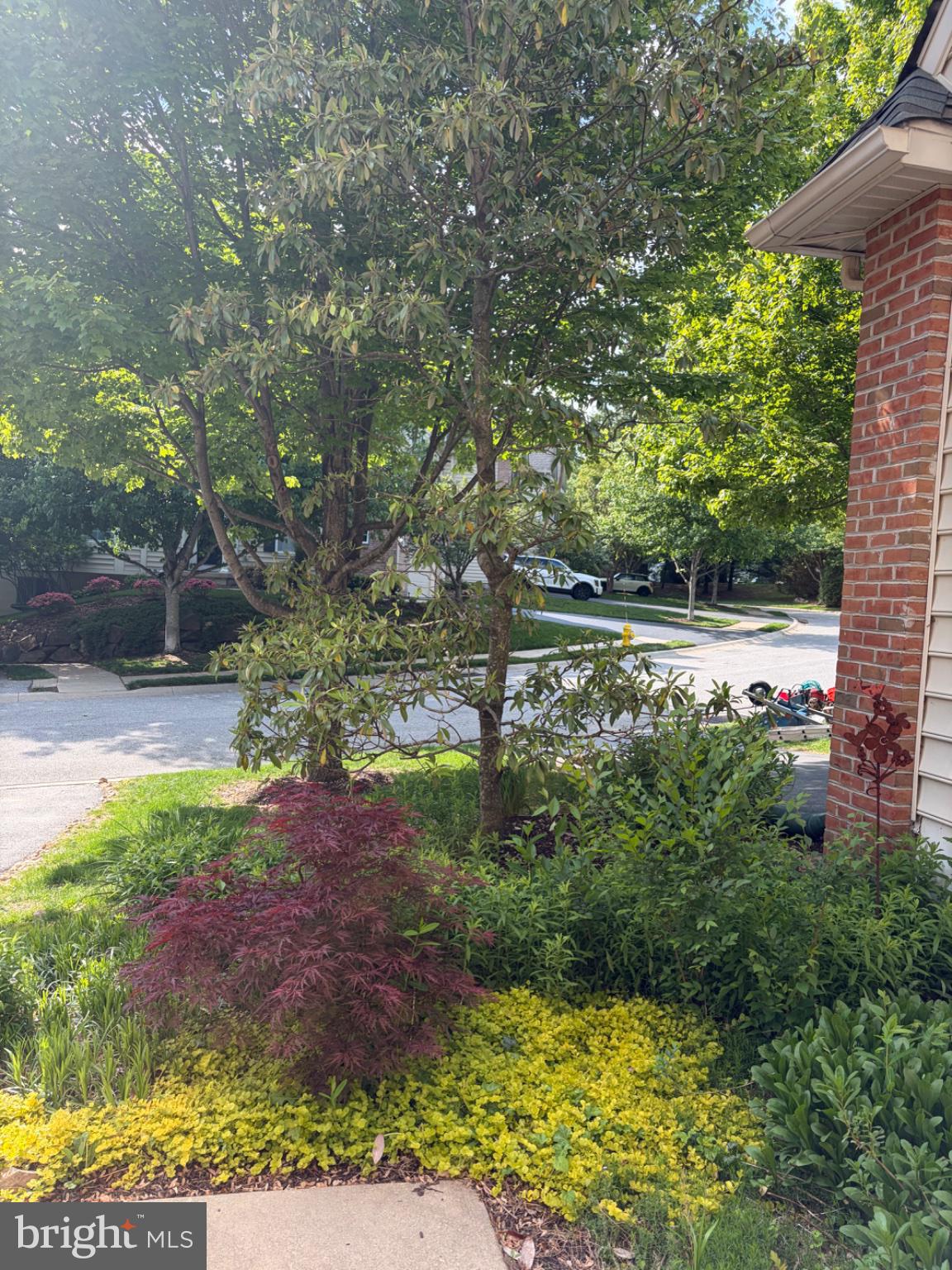 BELROSE - Residential