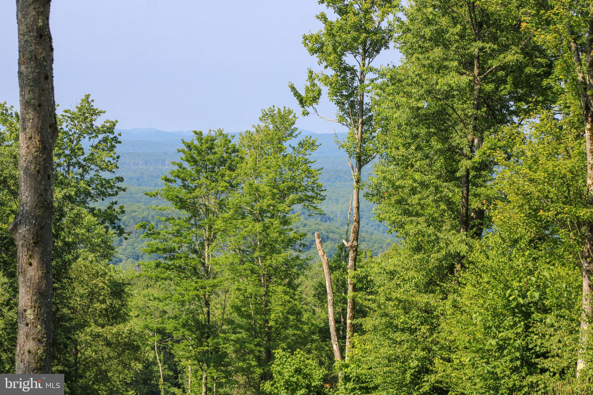 NORTH CAMP - Land