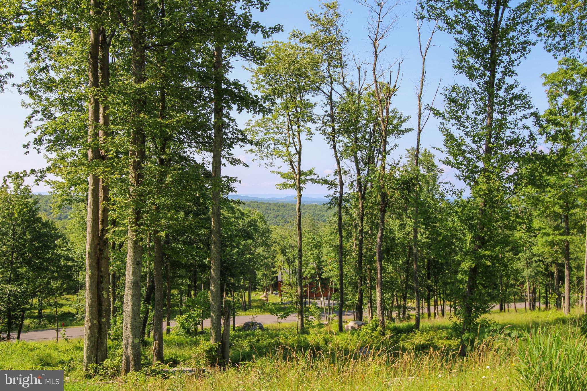 NORTH CAMP - Land