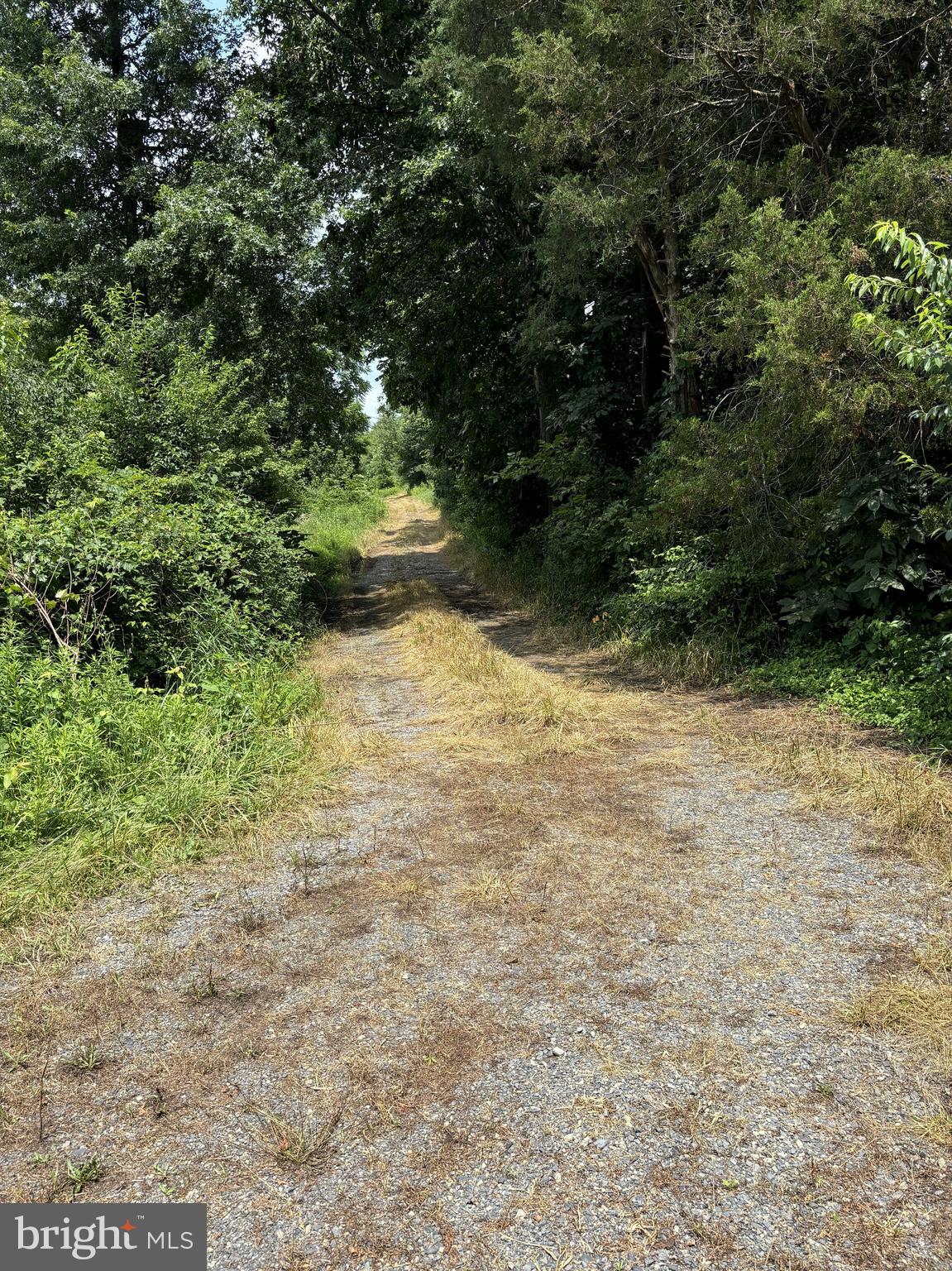 NONE, RURAL - Farm
