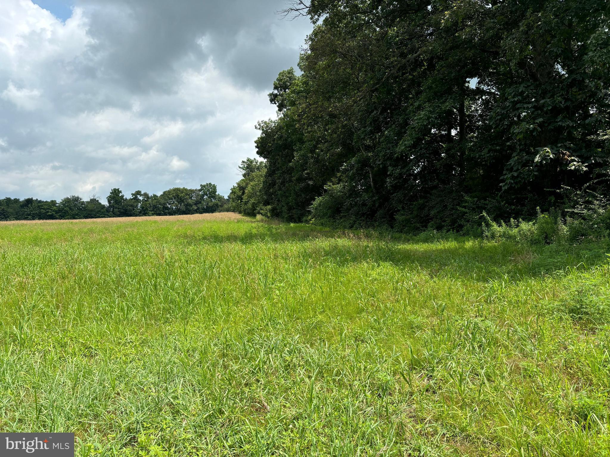 NONE, RURAL - Farm