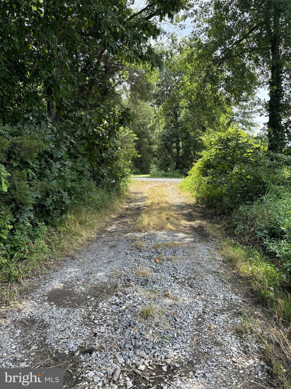 NONE, RURAL - Farm