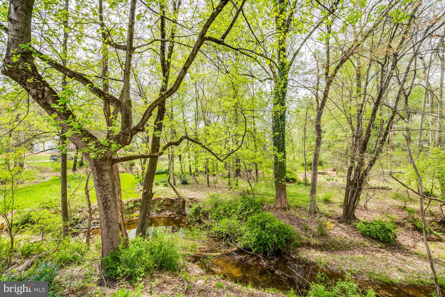 CASHELL WOODS - Residential