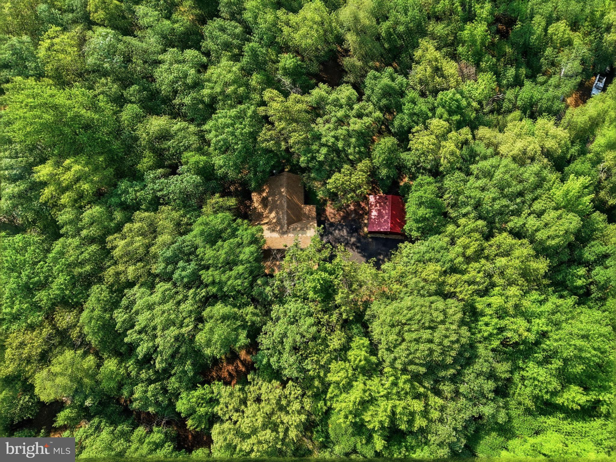 LYN WOODS - Residential