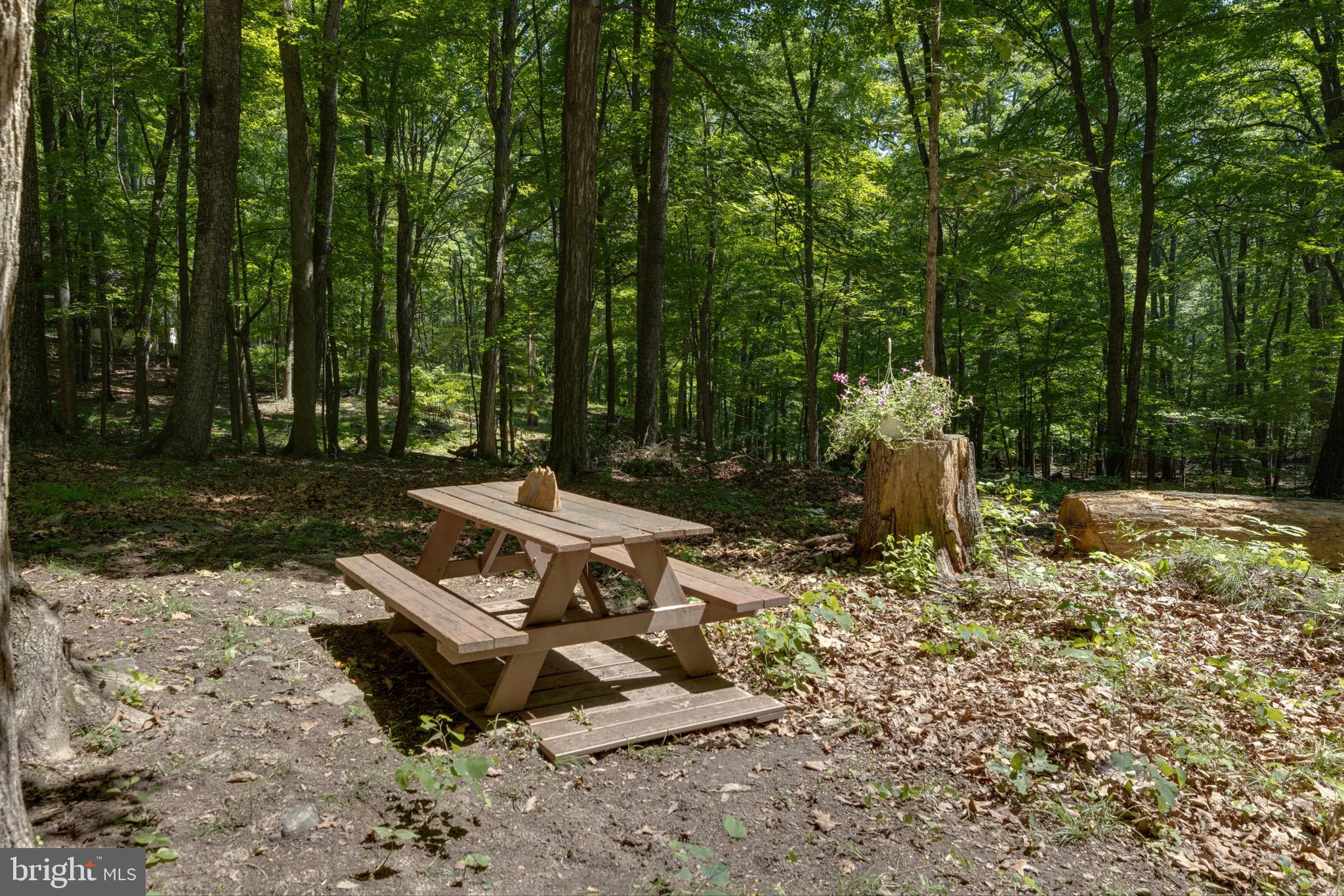 COOLFONT MOUNTAINSIDE - Residential