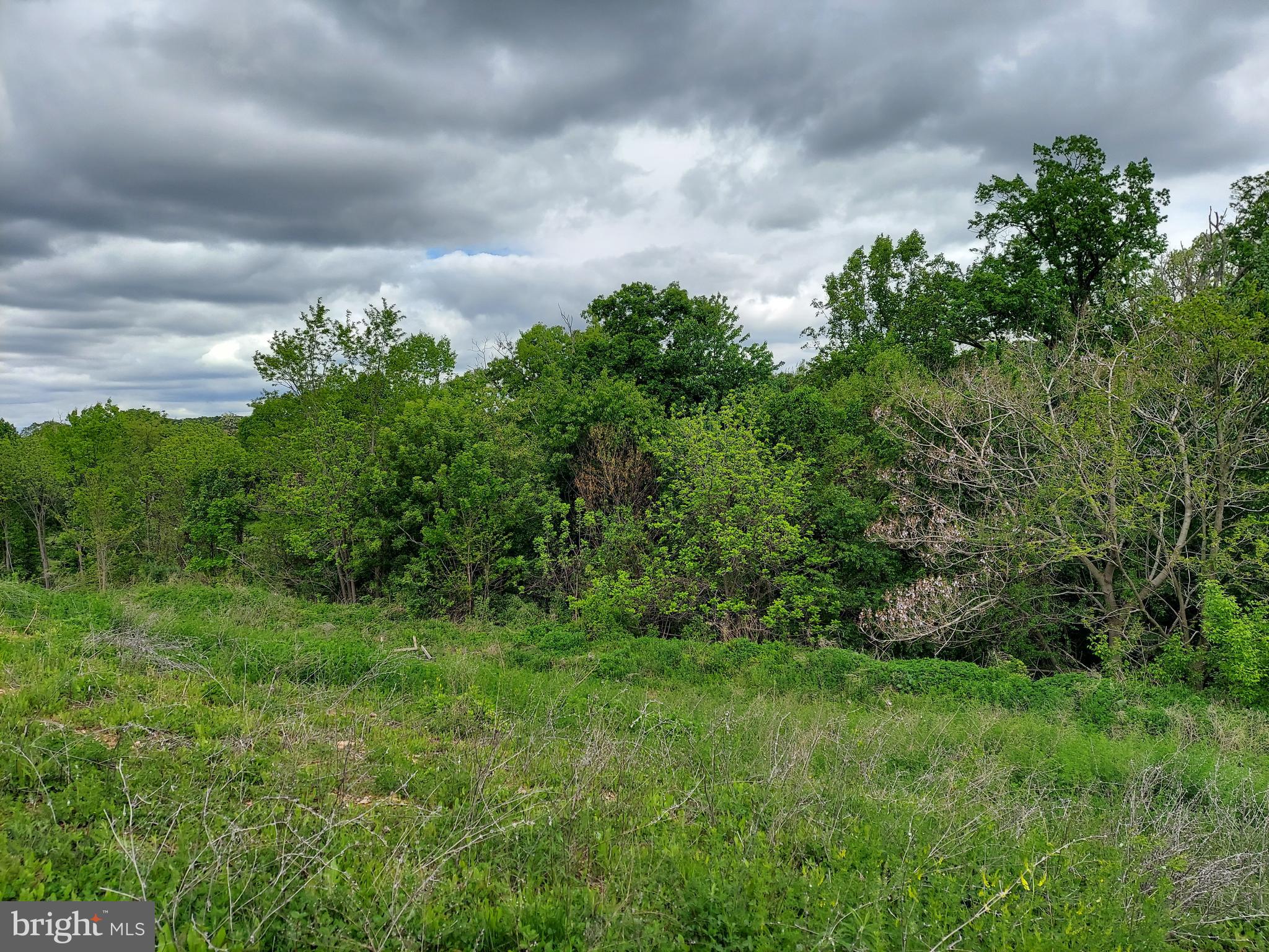 KENDALE HEIGHTS - Land