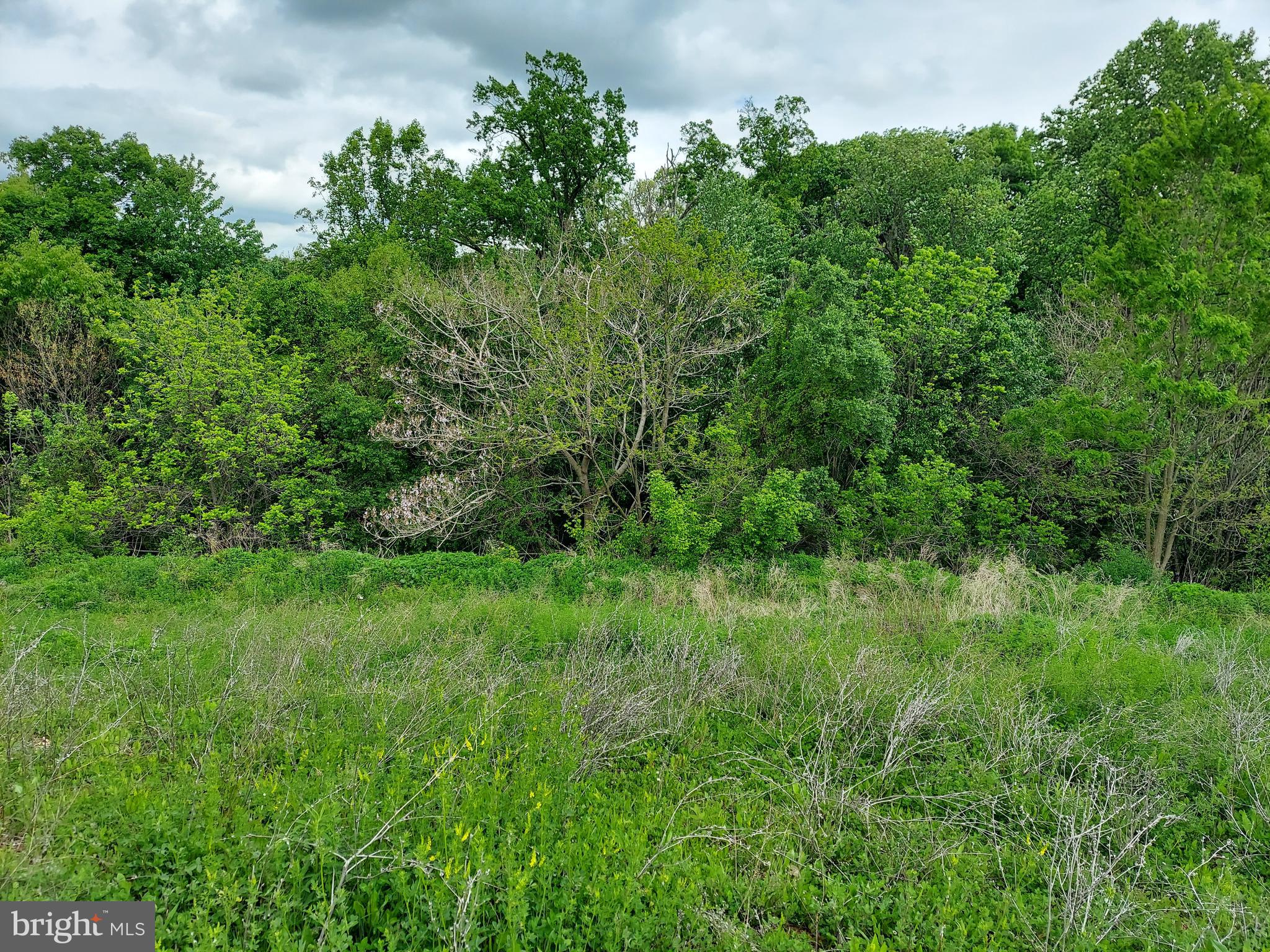 KENDALE HEIGHTS - Land