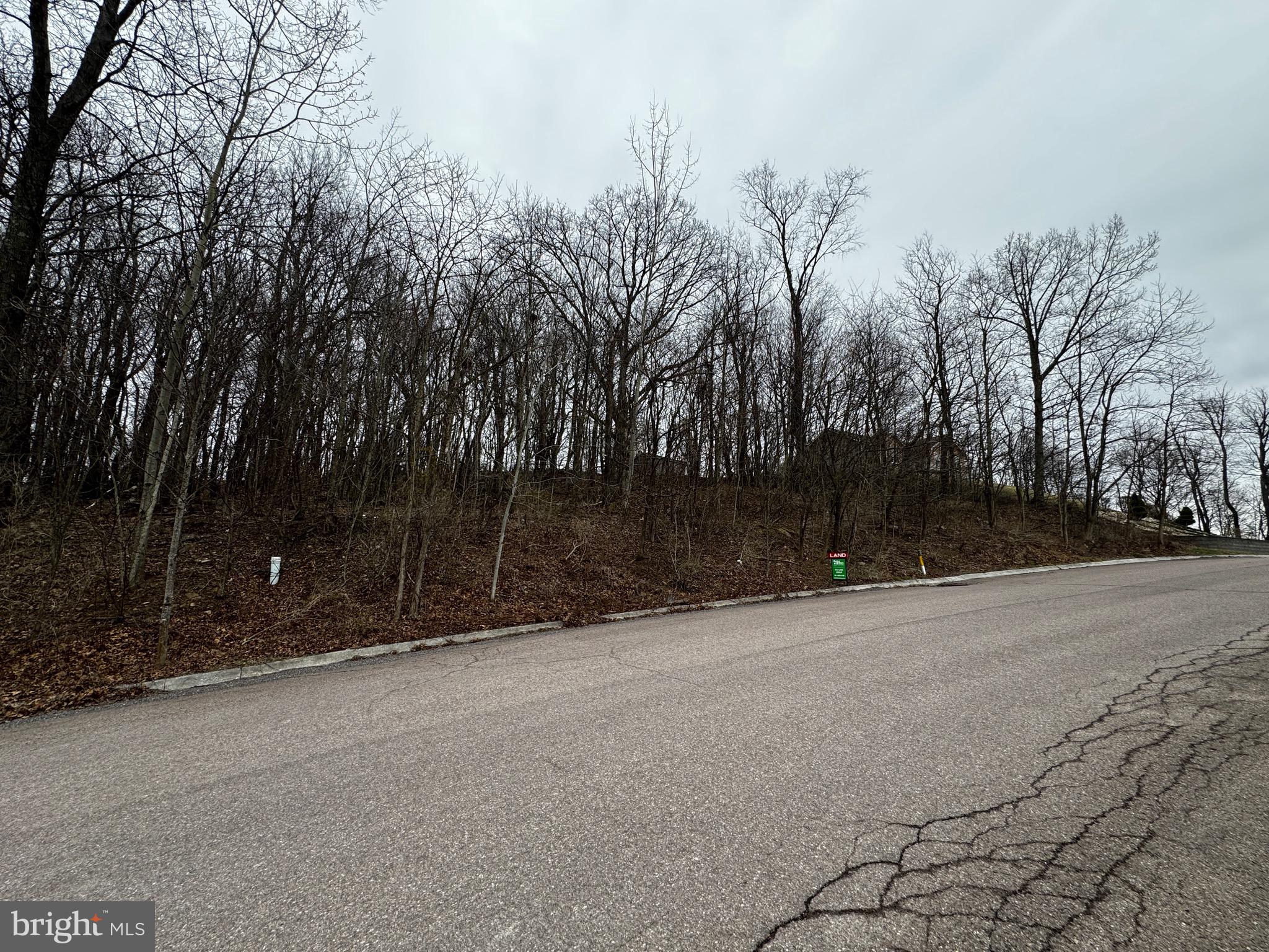 Presenting a rare opportunity to acquire a vacant lot in the Sand Spring Run development, being offered together with an adjacent lot. This unique package provides additional space and privacy. 

The combined lots create an expansive area suitable for a primary residence with ample outdoor space. Convenient access to schools, shopping, dining, and I-68.
