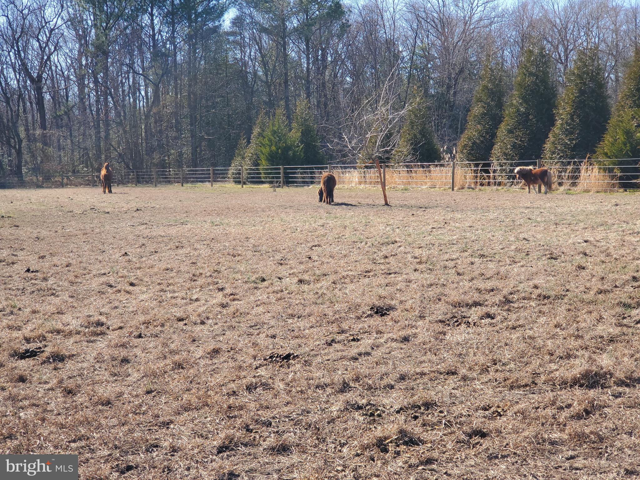 HARTLY - Farm