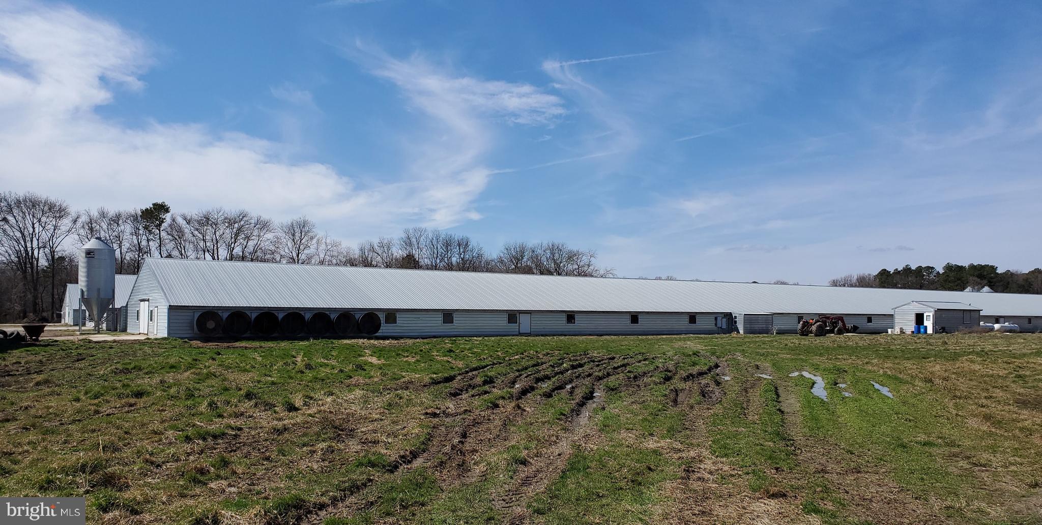 HARTLY - Farm