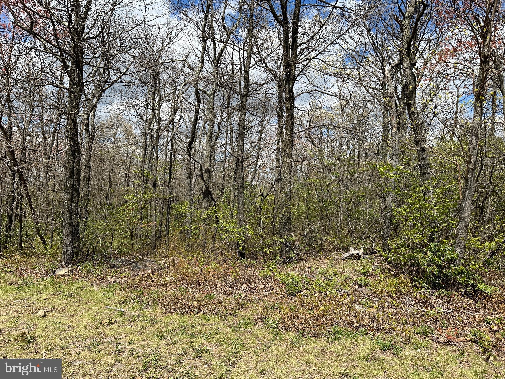SHAWNEELAND - Land