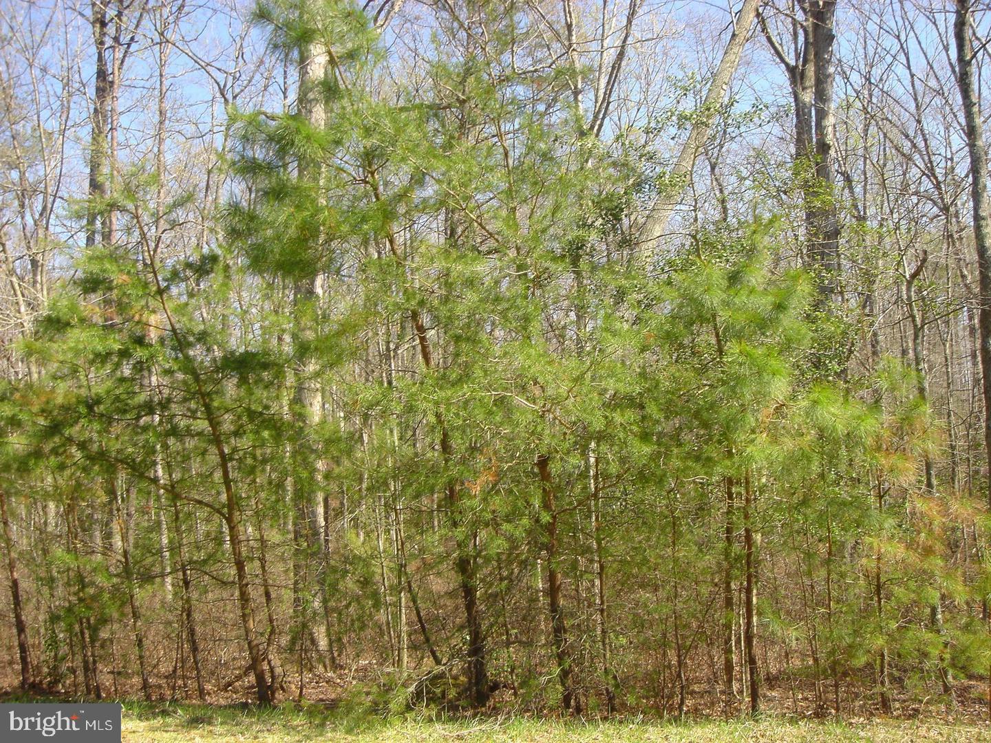 Almost 4 acres (3.9)perked and ready for your new home. This is the last lot in a 4 lot subdivision with nice homes. Close to Lexington Park and the base. Check with county for building requirements and or restrictions. Bring all offers.