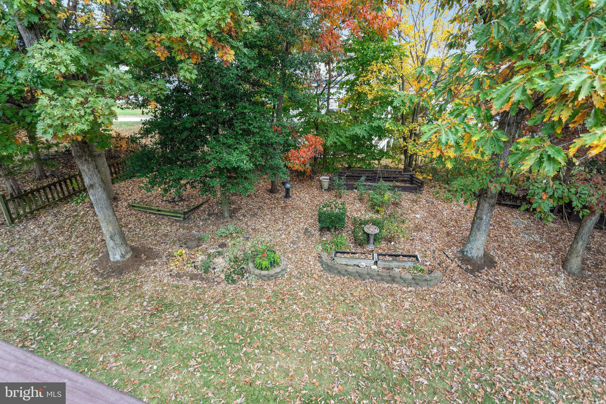 CARDINAL RIDGE - Residential Lease
