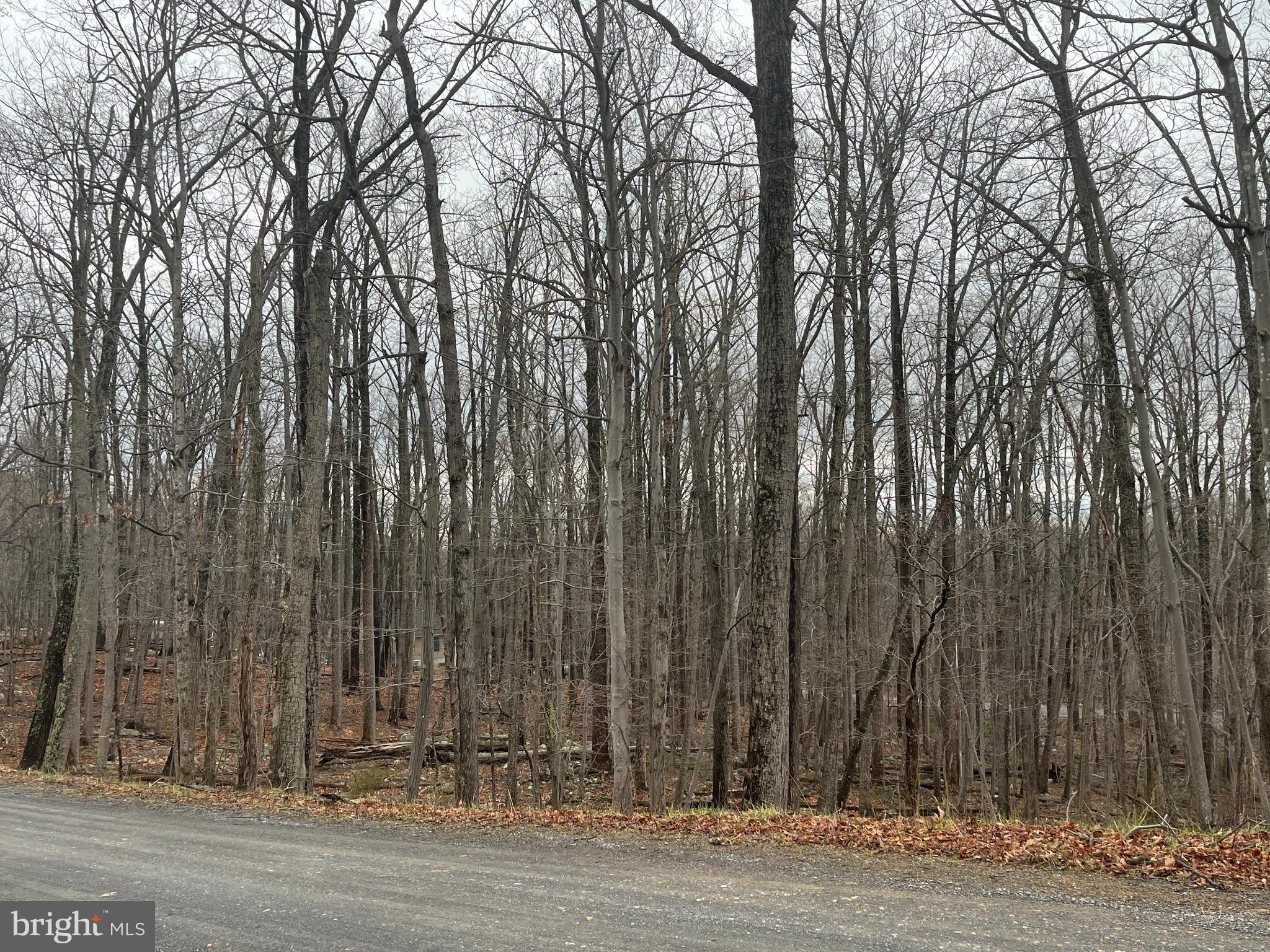 WILDE  ACRES - Land