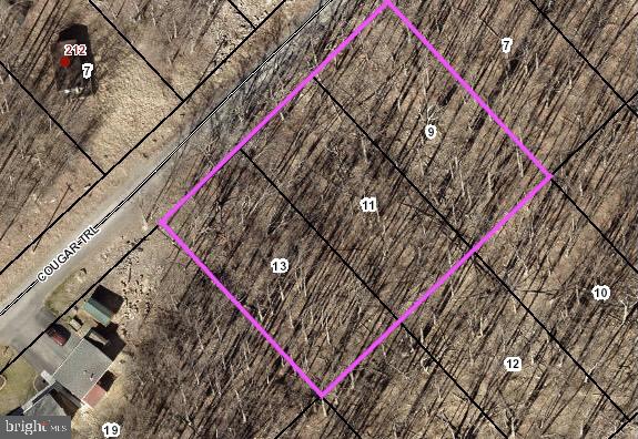 Tucked into the scenic mountains of Wilde Acres subdivision, this 0.81-acre offering combines three wooded lots into one unique opportunity for your future homesite or getaway retreat. Surrounded by mature trees and natural beauty, the property offers privacy, flexibility, and the potential to build in a peaceful setting away from the noise of town. Whether you're looking to create a full-time residence, weekend escape, or long-term investment, this property delivers. Located just 30 minutes from Winchester, you’ll enjoy convenient access to shopping, dining, and everyday amenities while still feeling tucked away in the mountains. Outdoor enthusiasts will appreciate the close proximity to George Washington National Forest, offering endless options for hiking, camping, and exploring. With three lots combined, you have added flexibility for building, layout, and future use - making this a rare find in a growing area. If you’ve been searching for a private, wooded setting with access to both nature and convenience, this is your opportunity.