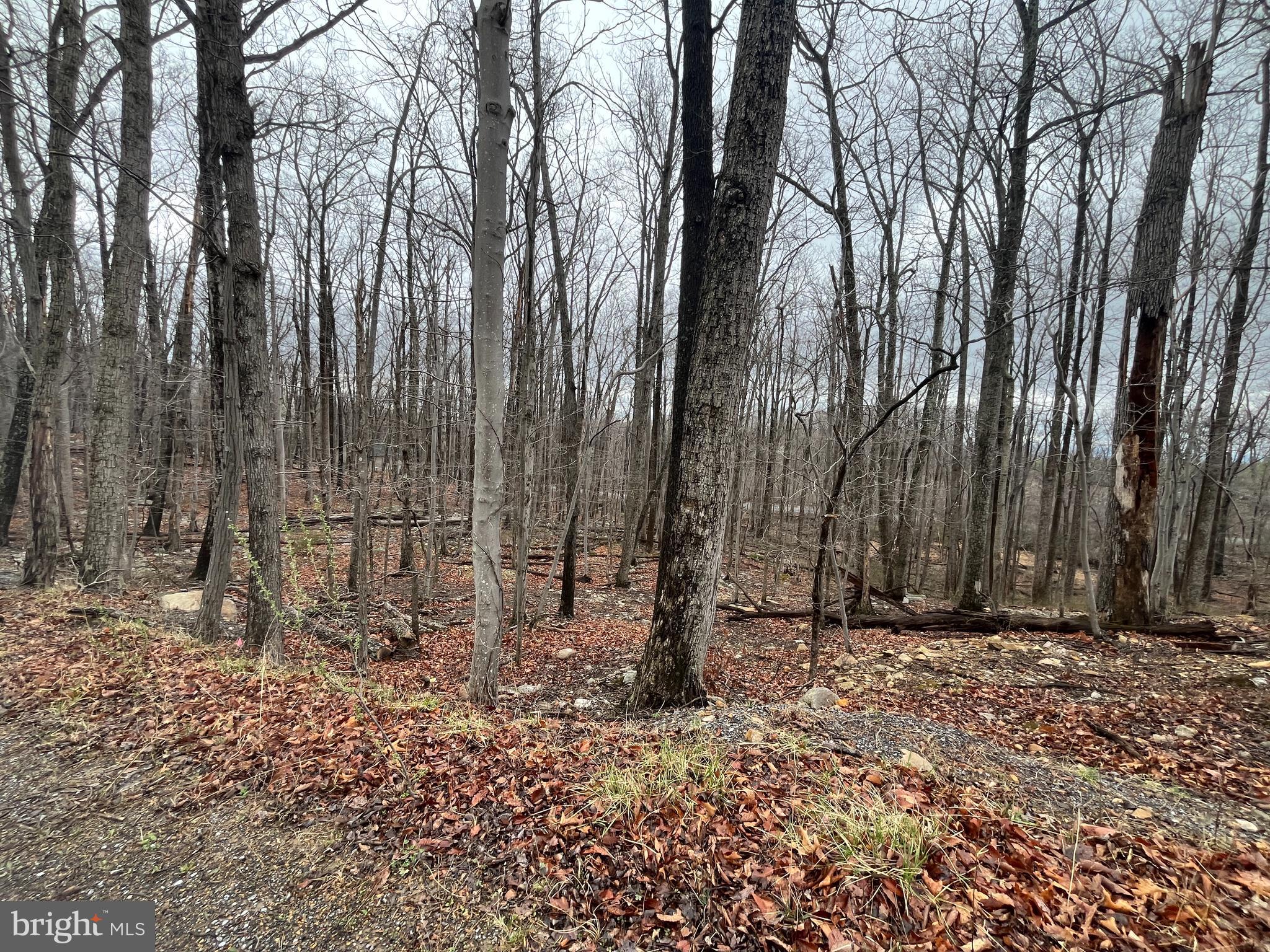 WILDE  ACRES - Land