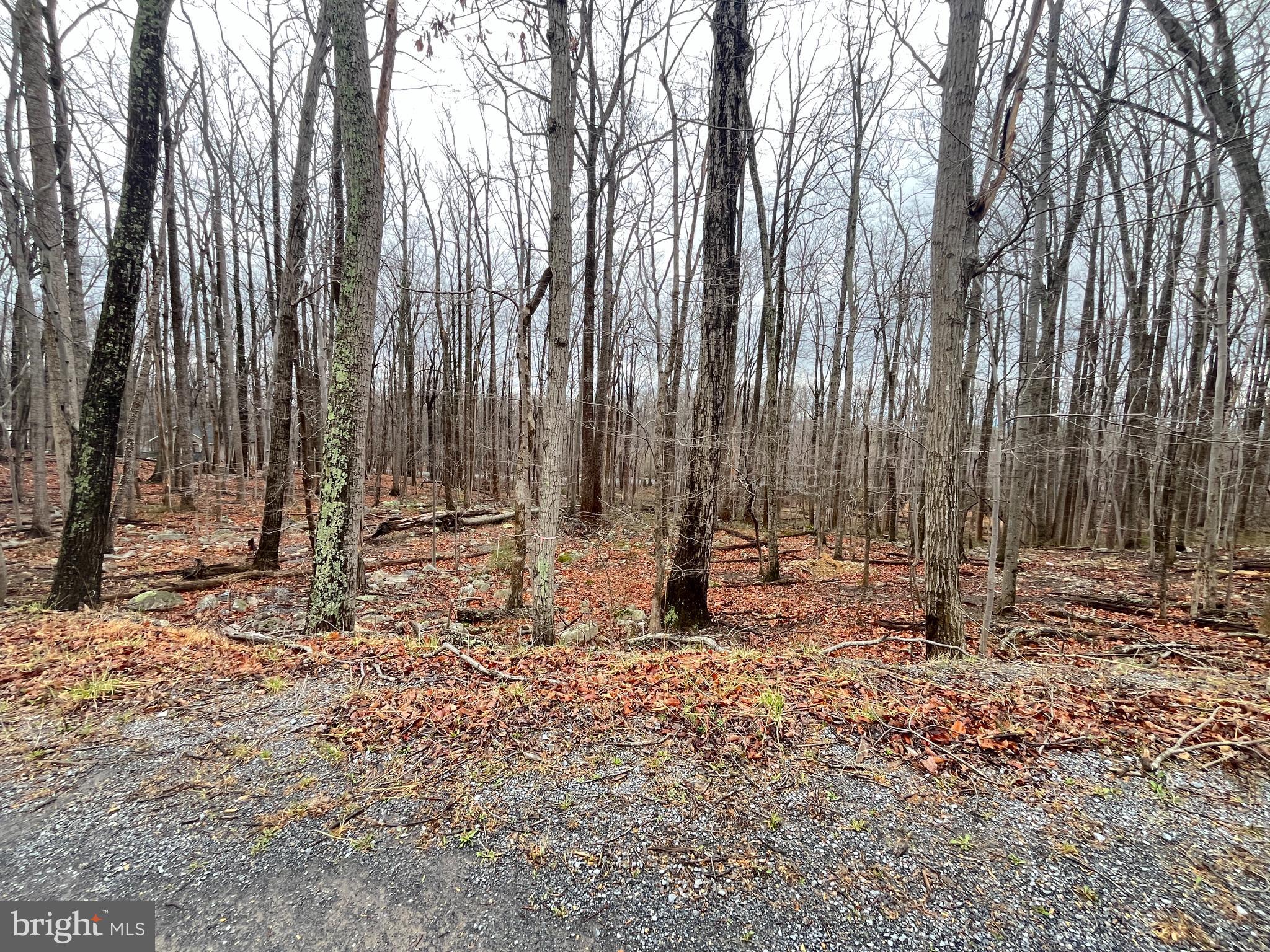 WILDE  ACRES - Land