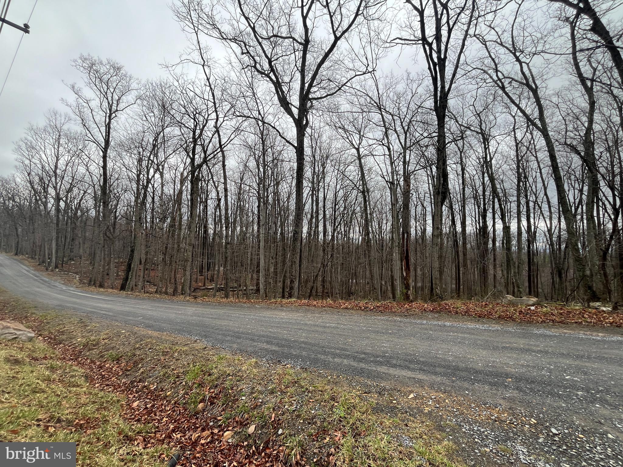 WILDE  ACRES - Land