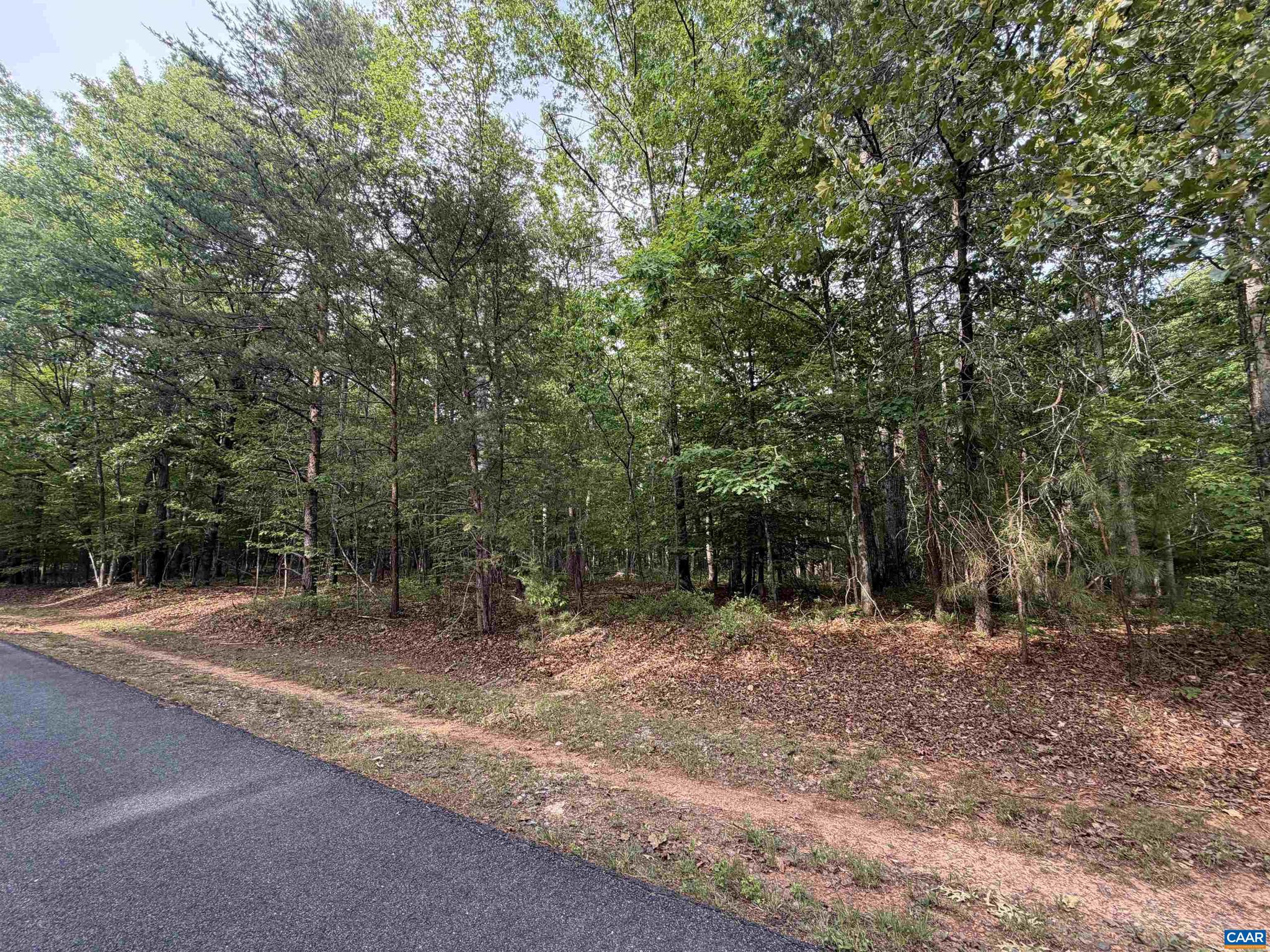 Build your dream home in the gated community of Shenandoah Crossing in Louisa County where residents enjoy a resort-style living experience. This affordable lot is nearly level and backs to community space for additional privacy. As a resident of Shenandoah Crossing you will have access to amenities including indoor/outdoor pools, tennis and pickleball courts, marina, hiking trails, fitness center, playgrounds, mini golf, and more. Conveniently located in Gordonsville with main road access to nearby Zion Crossroads, and I-64 to Charlottesville or Richmond. High-speed fiber internet available. Enjoy nearby 60-acre Lake Izac and the flexibility to build now or later in this beautiful lake community.