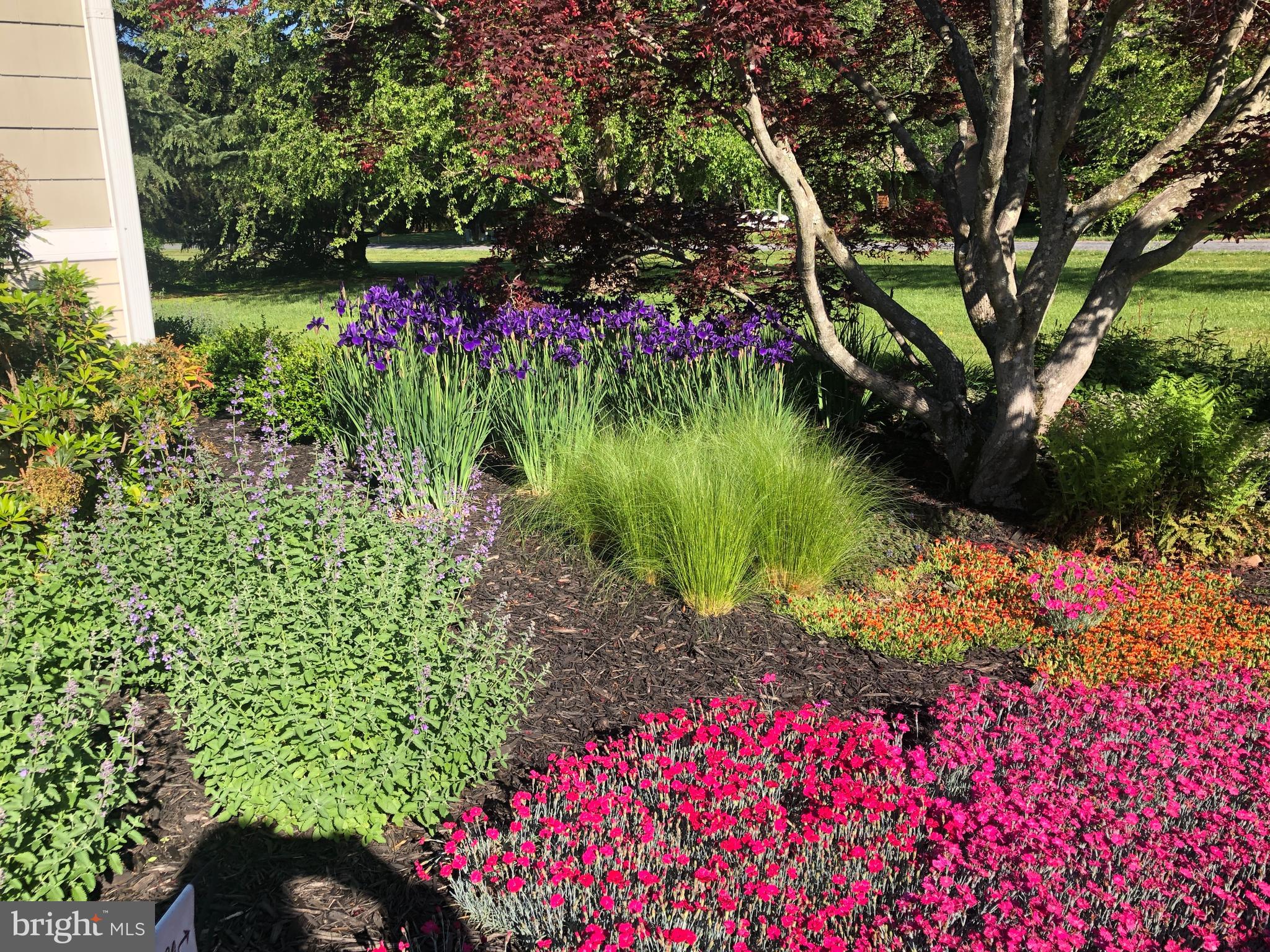 HICKORY RIDGE - Residential