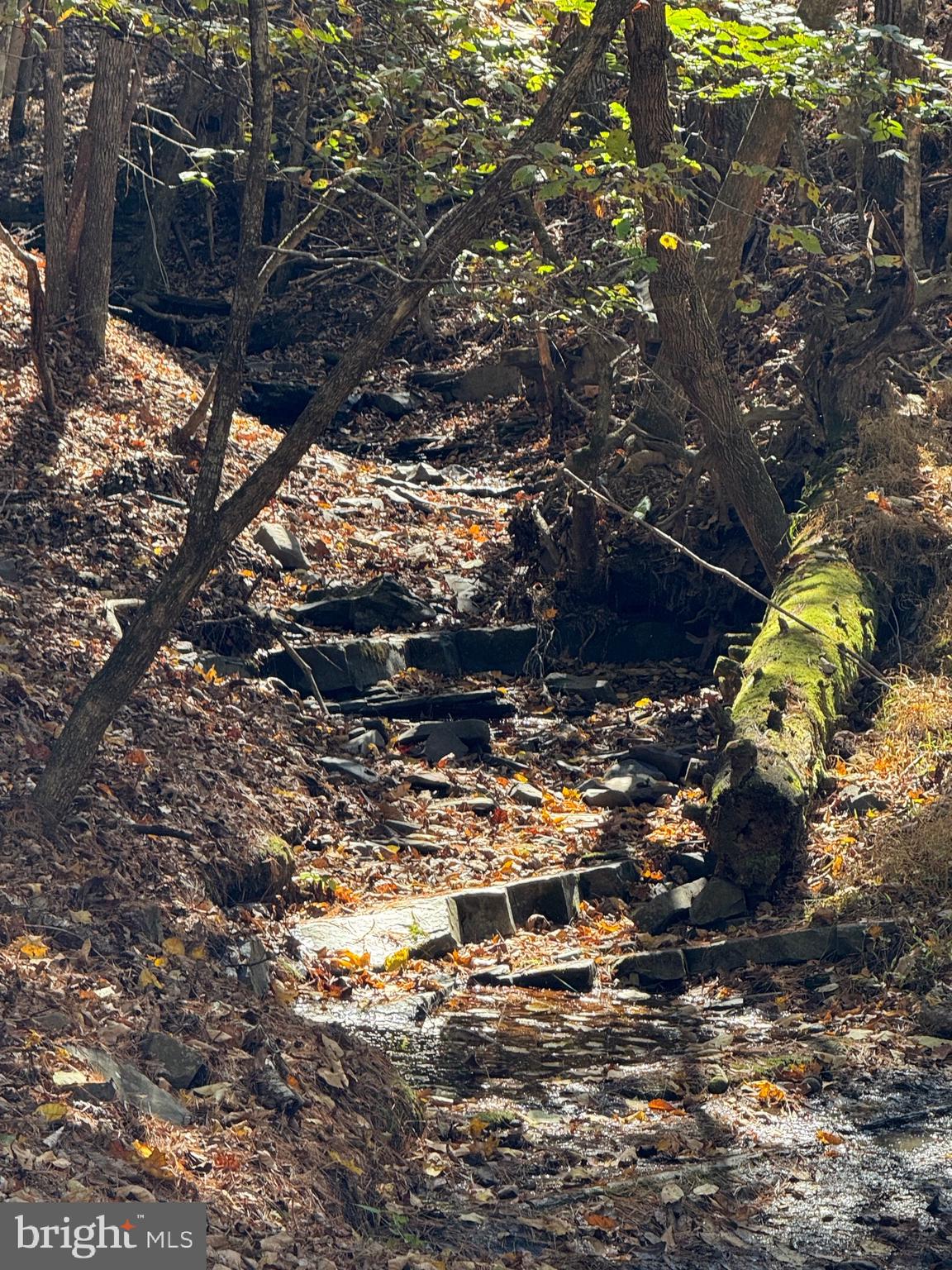 🌄 51.5 Acres with Home & Endless Potential – Petersburg, WV 🌄

Rare opportunity to own 51.5 acres of beautiful West Virginia land just off South Mill Creek Road in Petersburg, WV. Offering a mix of open ground and wooded acreage, this property is perfect for a future homesite, recreational getaway, hunting property, small farm, or investment opportunity.

An older 2-bedroom, 1-bath home is located on the property and is being sold as-is. The home has been vacant for several years and will likely require major renovation or removal, but the property itself offers outstanding potential with multiple possibilities for future use.

Enjoy the peace and privacy of country living with scenic mountain views, open space, wooded terrain, and plenty of room to explore and enjoy the outdoors. Ideal for ATV riding, hiking, camping, hunting, or building your dream cabin or forever home in the mountains of West Virginia.

Conveniently located just minutes from downtown Petersburg while still offering the seclusion and outdoor lifestyle that makes Almost Heaven, West Virginia so special.