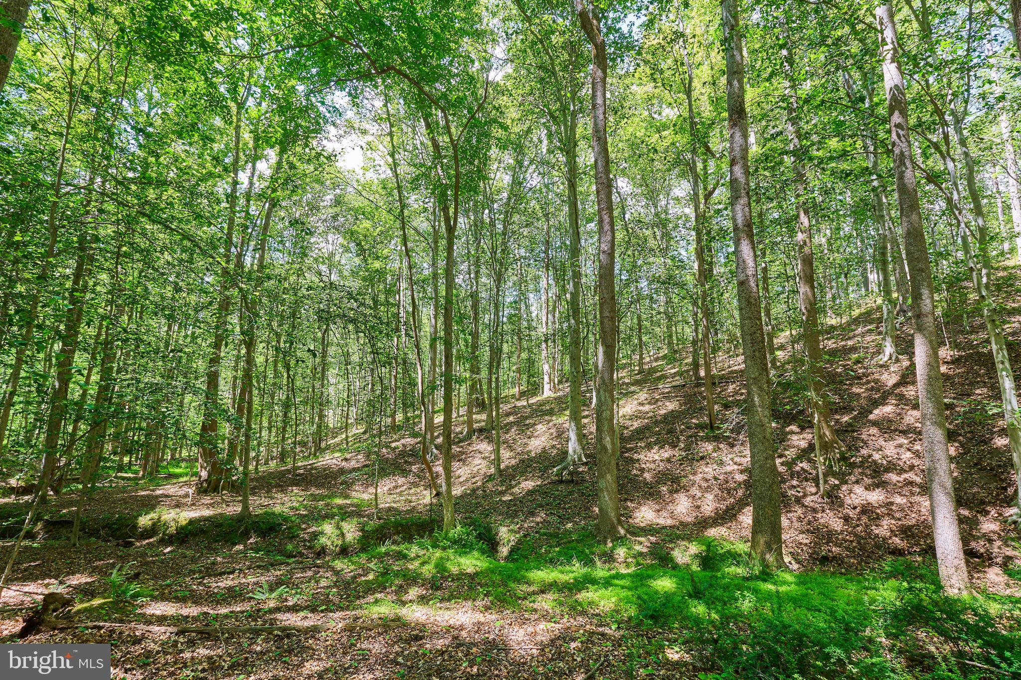 FOUNTAINHEAD - Land