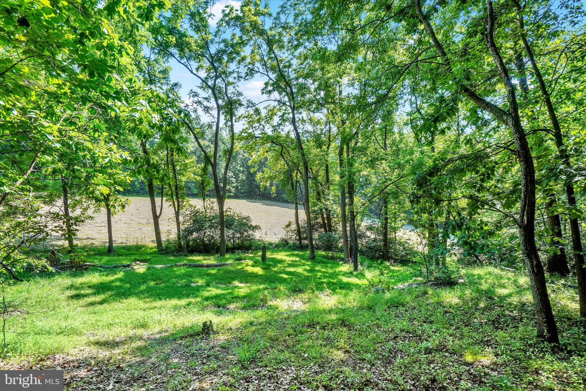 CODORUS - Farm