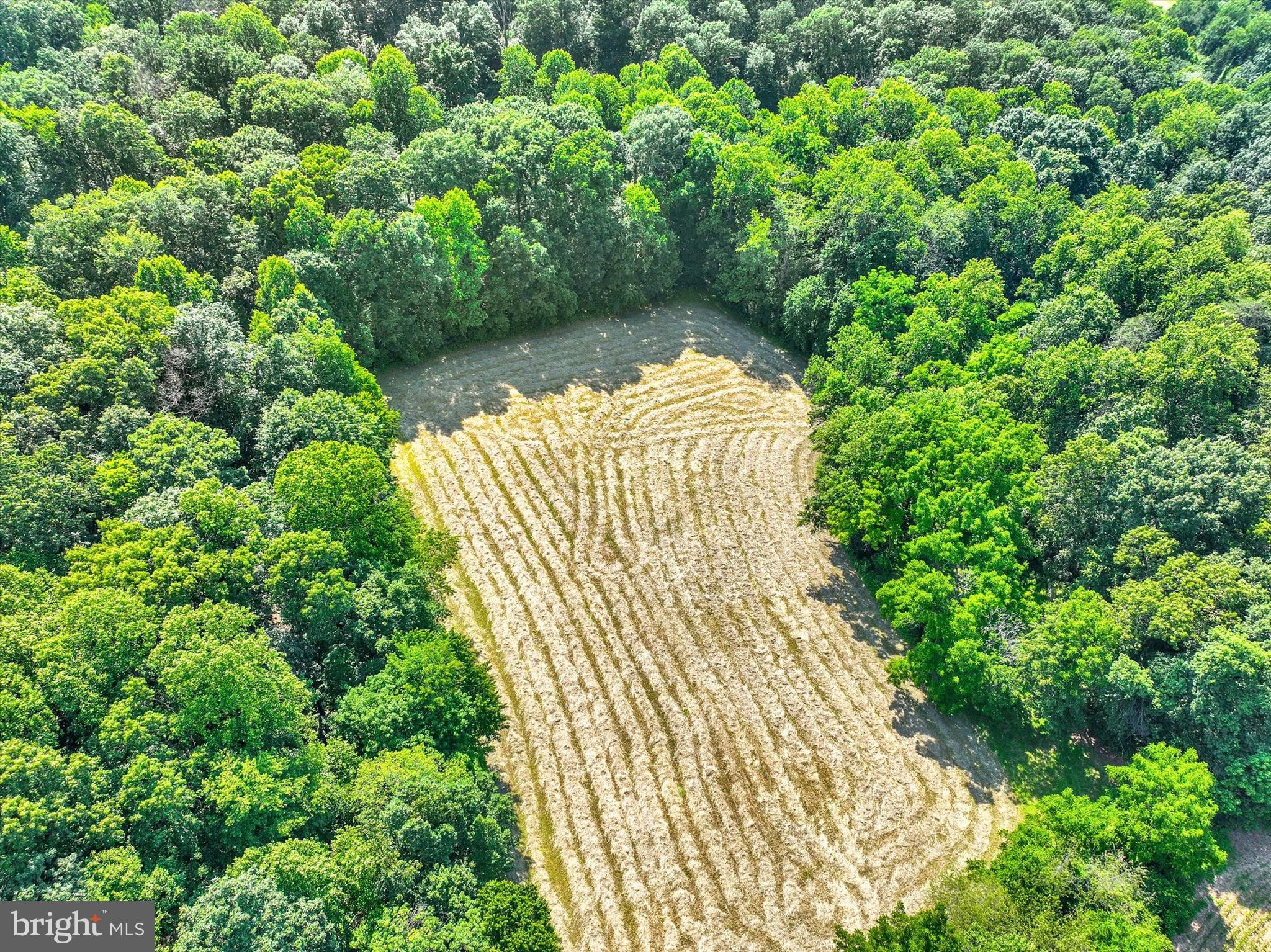 CODORUS - Farm