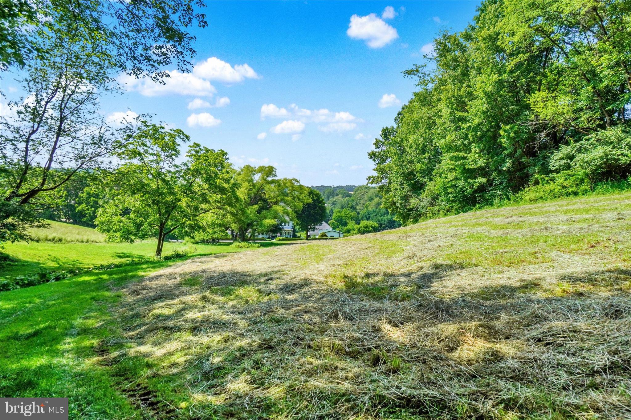 CODORUS - Farm