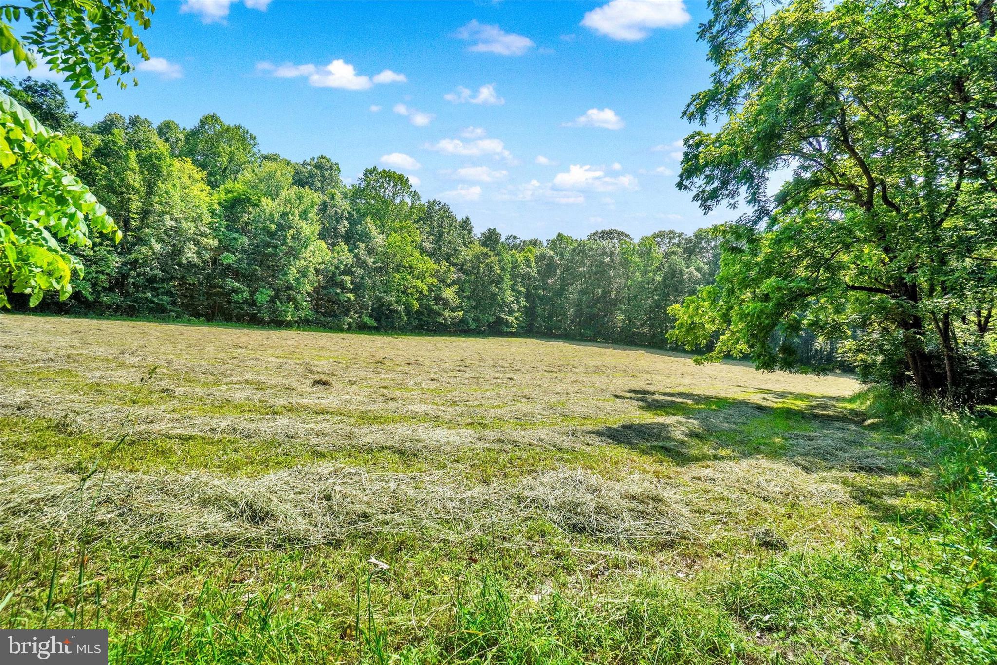 CODORUS - Farm