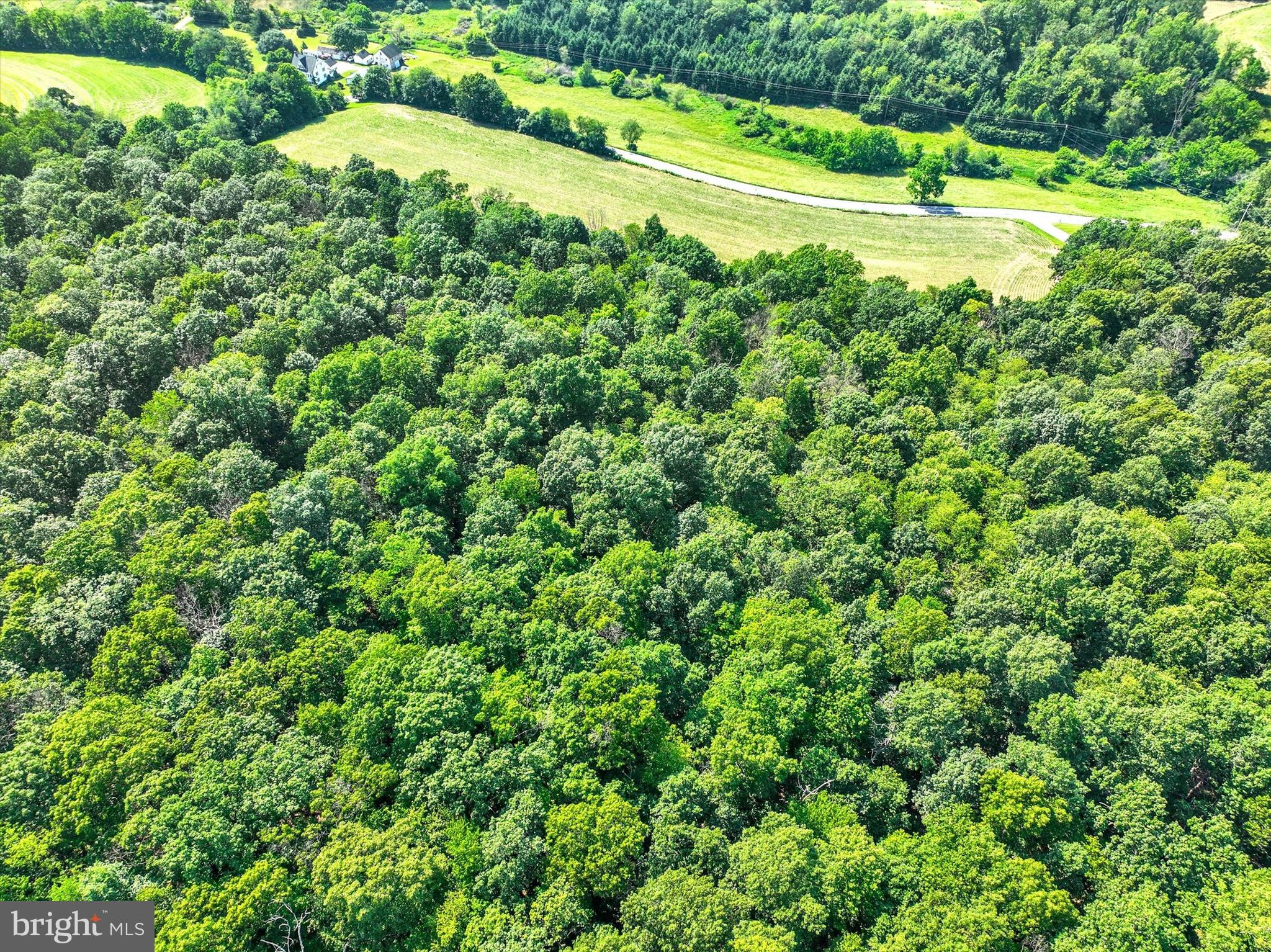 CODORUS - Farm