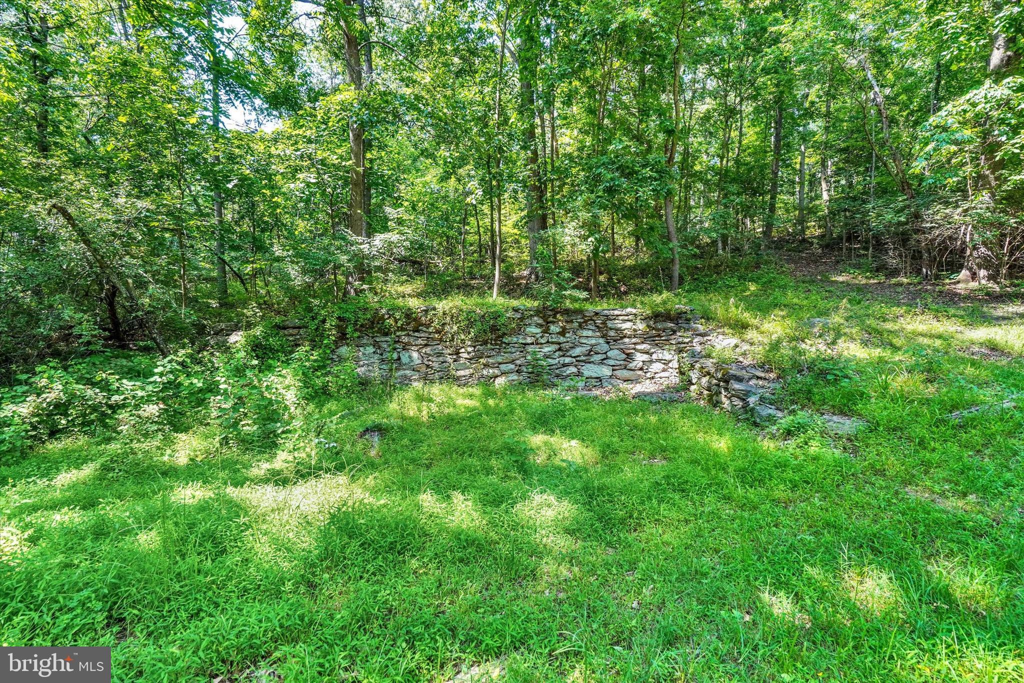 CODORUS - Farm