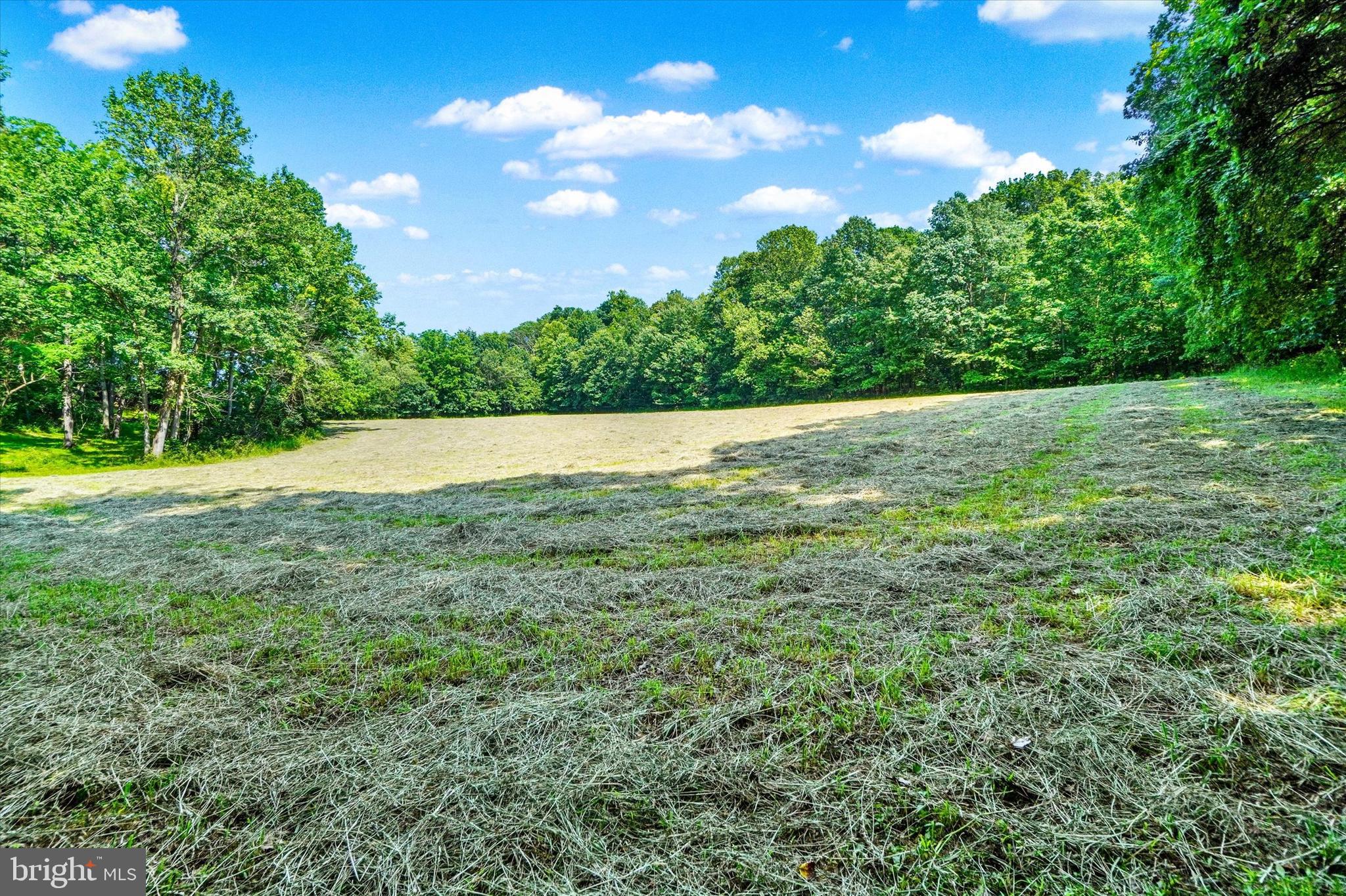 CODORUS - Farm