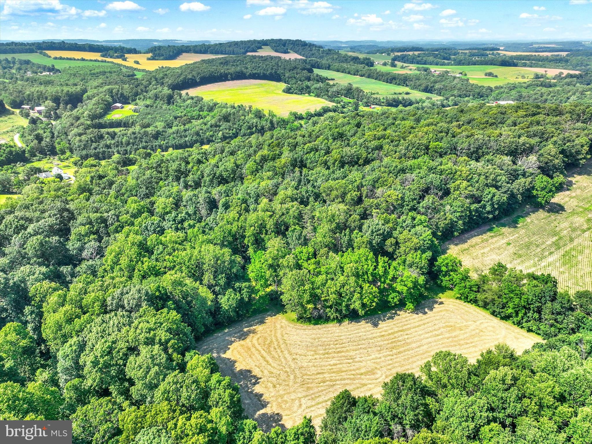 CODORUS - Farm