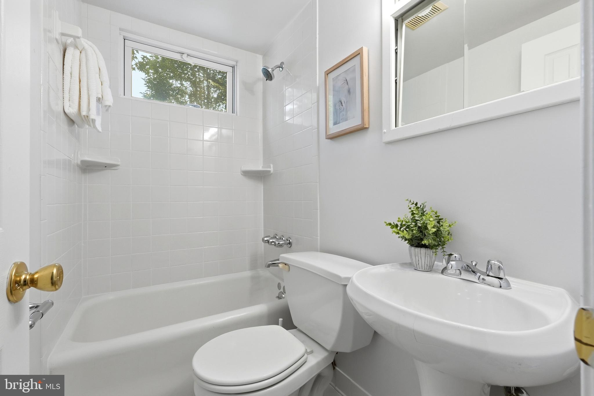 TAKOMA PARK - Residential