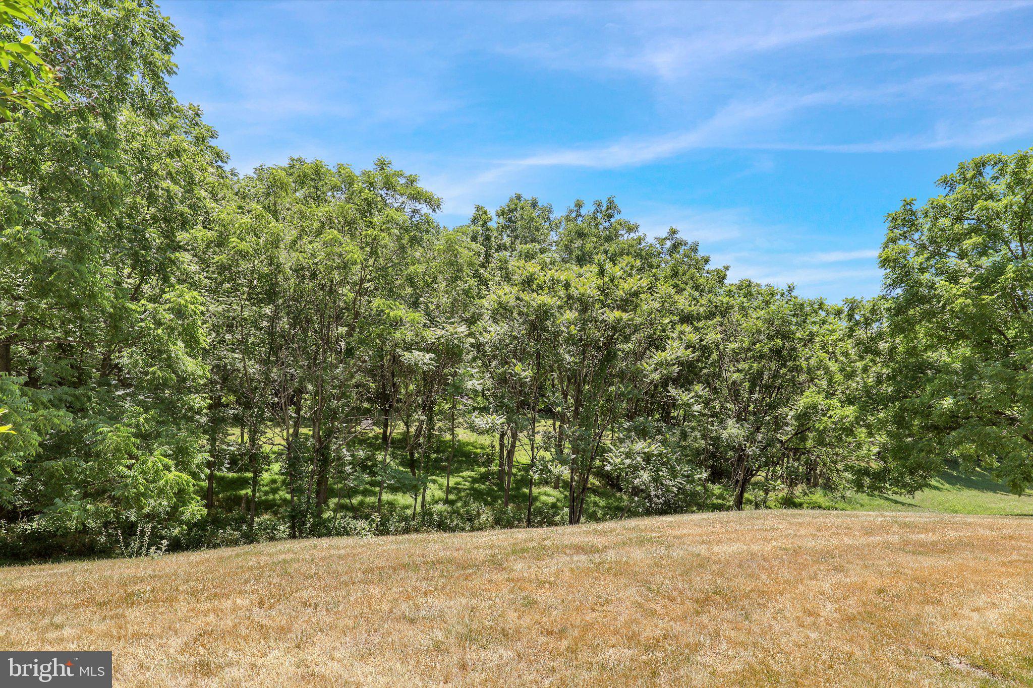 FOREST GLEN - Residential
