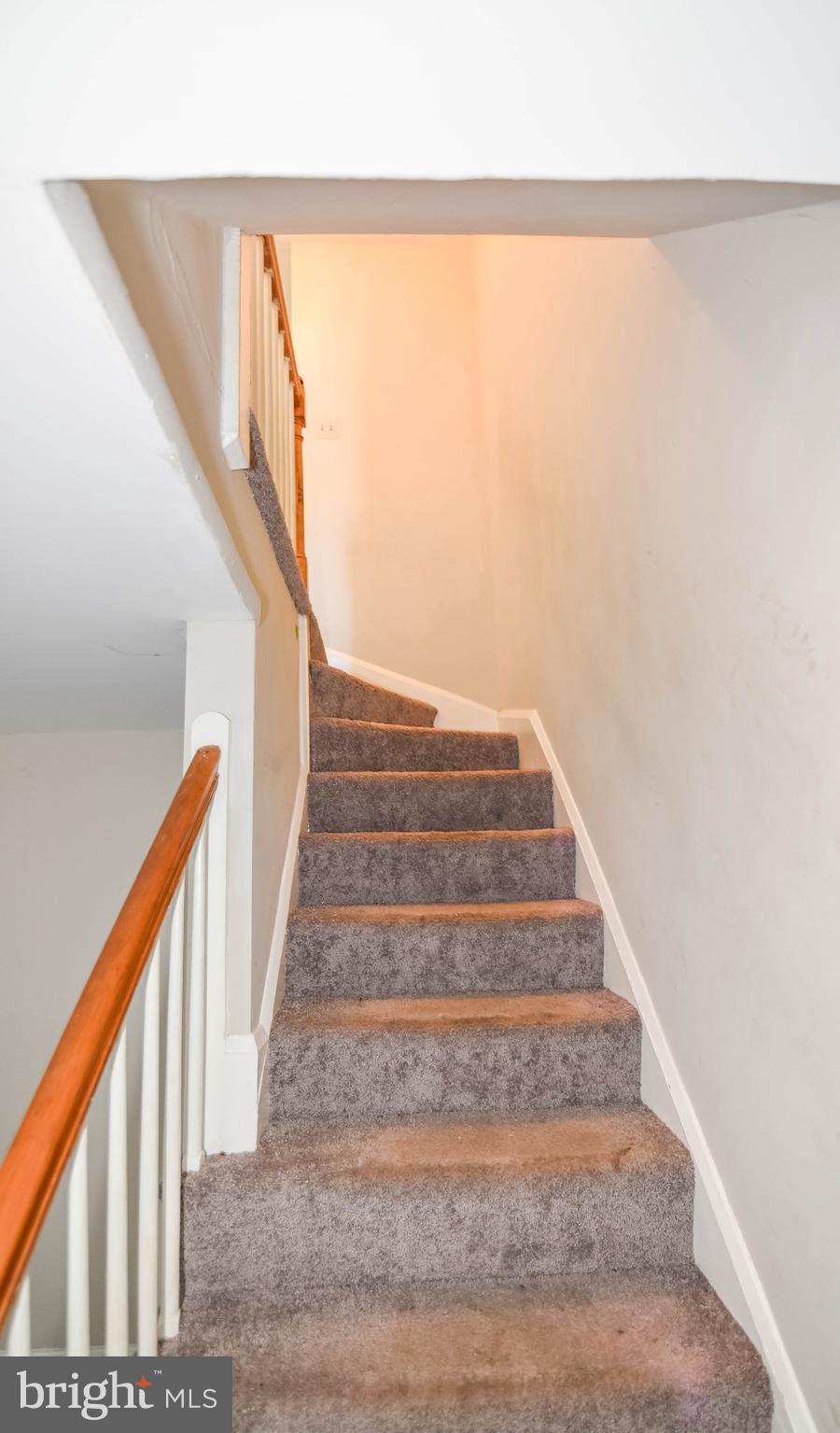 WILSON PARK - Residential