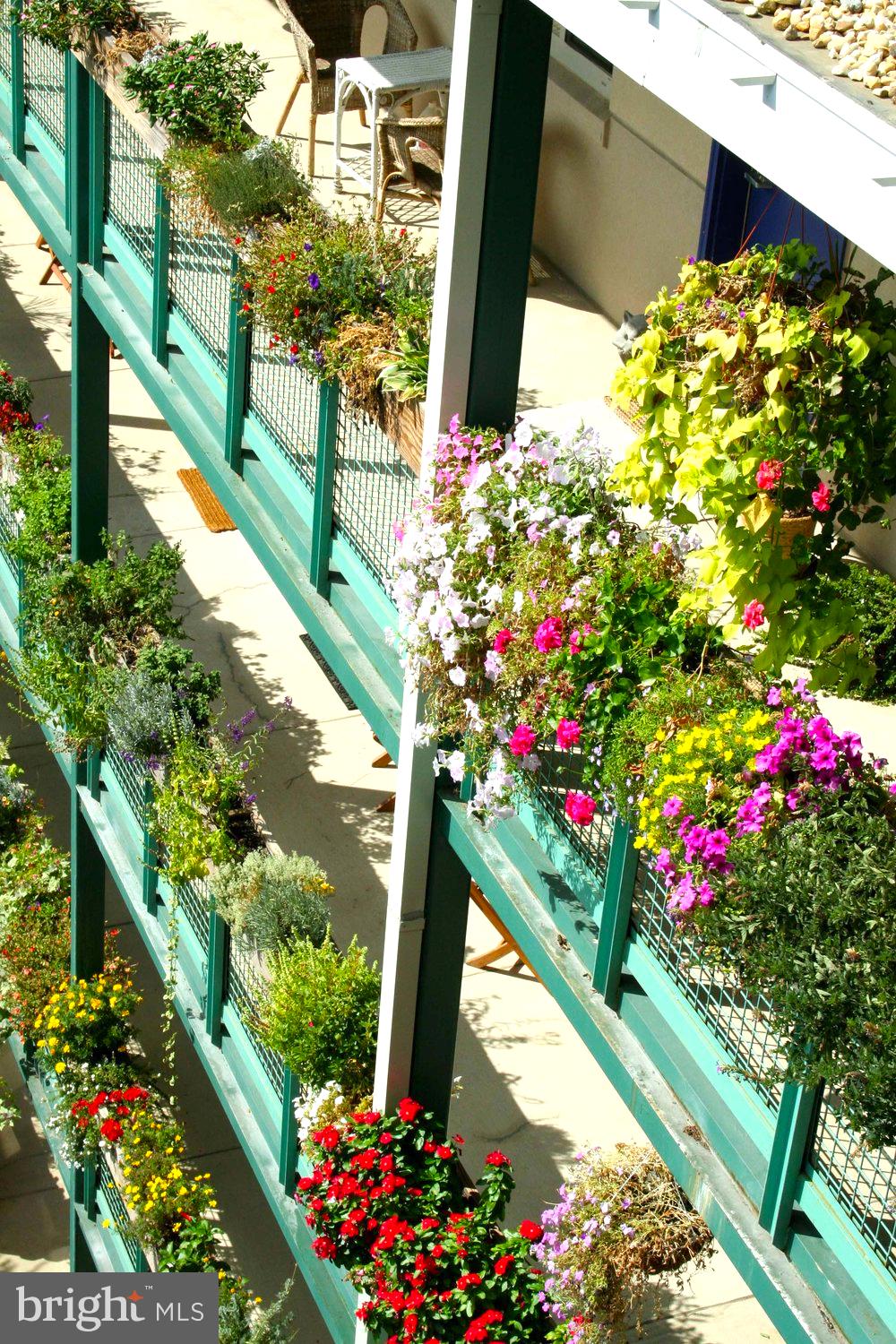 SILVER SPRING - Residential