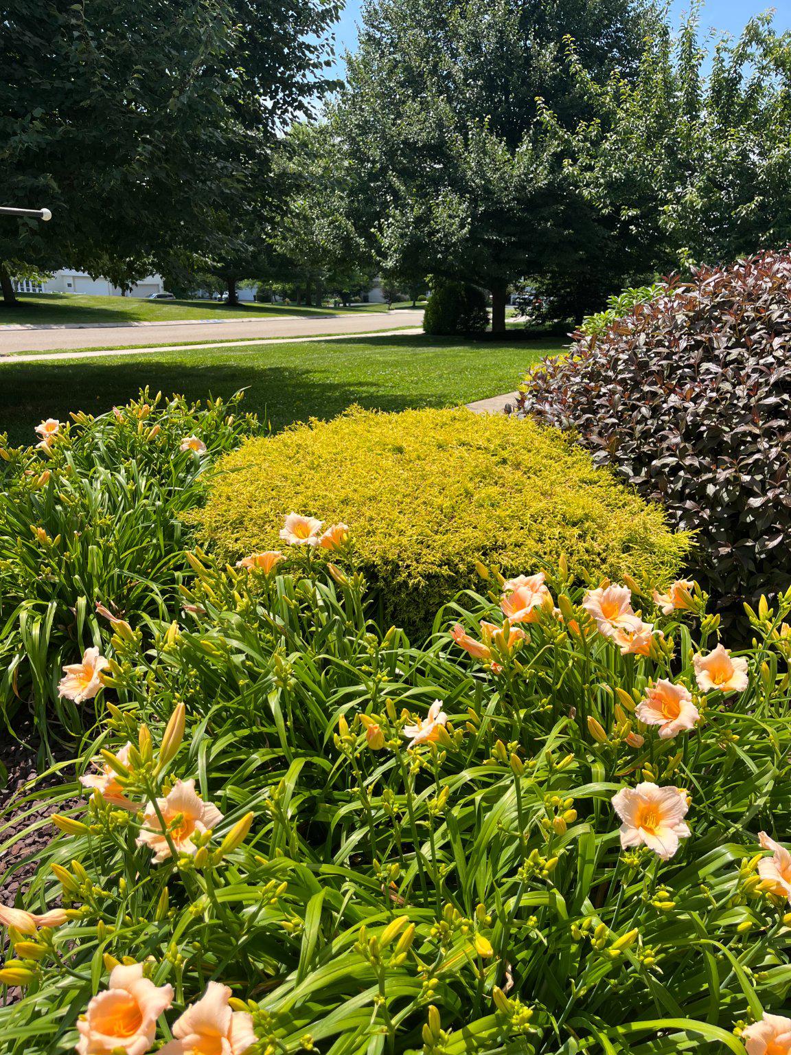 COUNTRY WALK - Residential