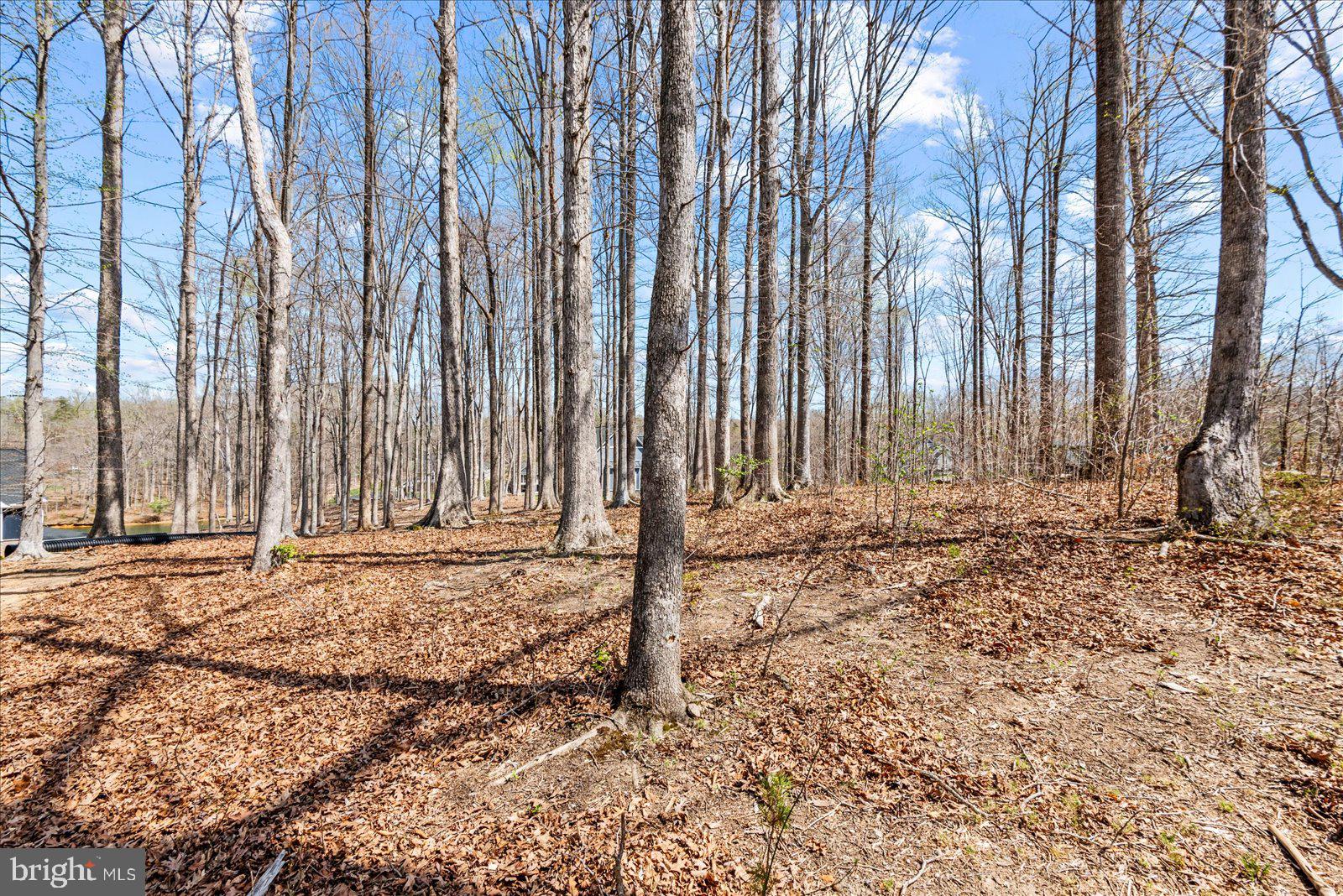 MILL RUN - Land
