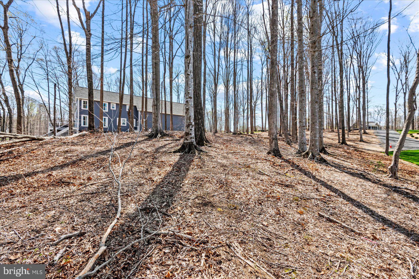 MILL RUN - Land