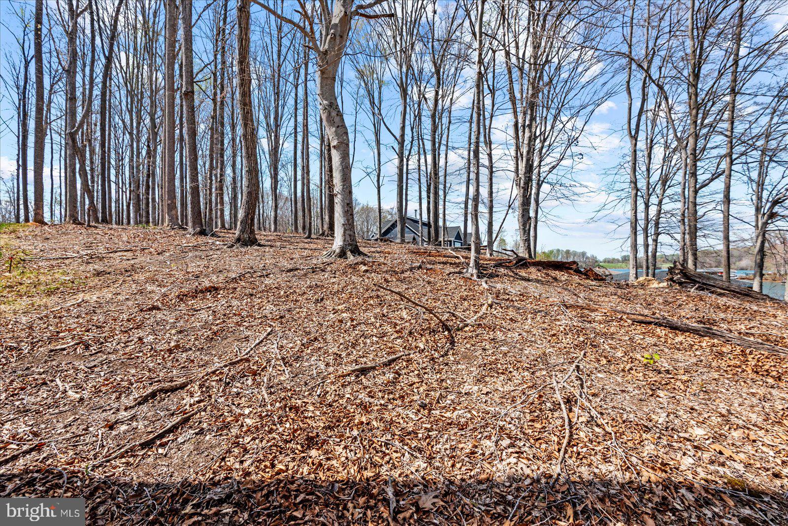 MILL RUN - Land