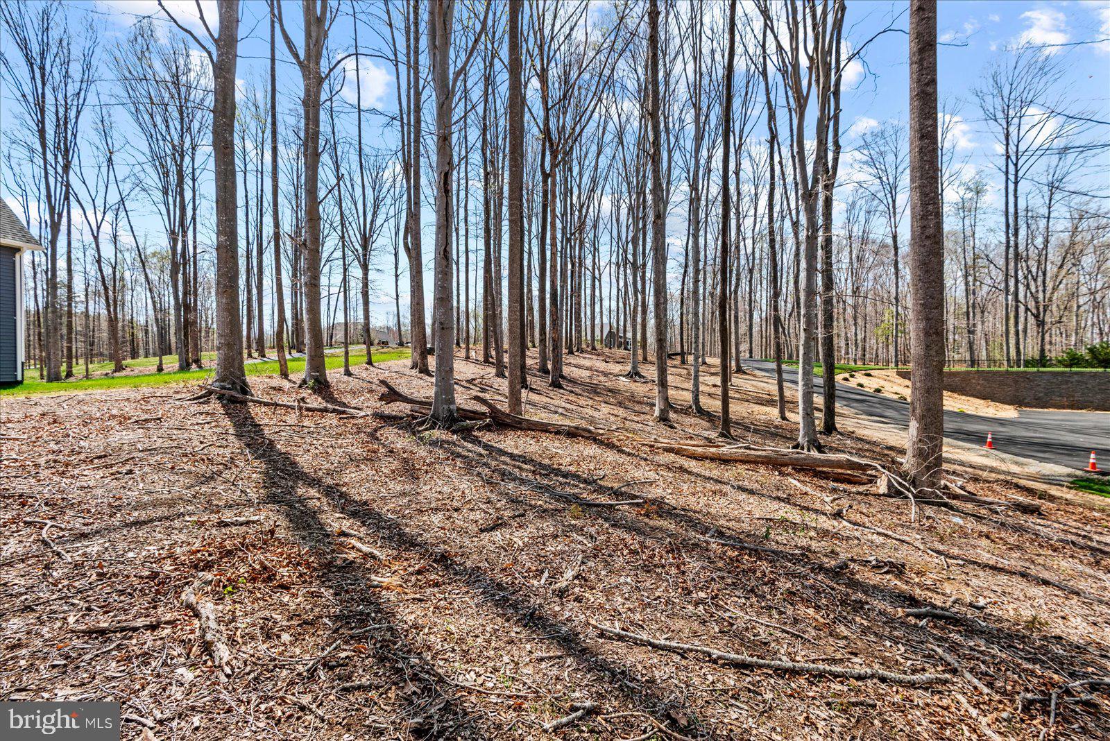 MILL RUN - Land