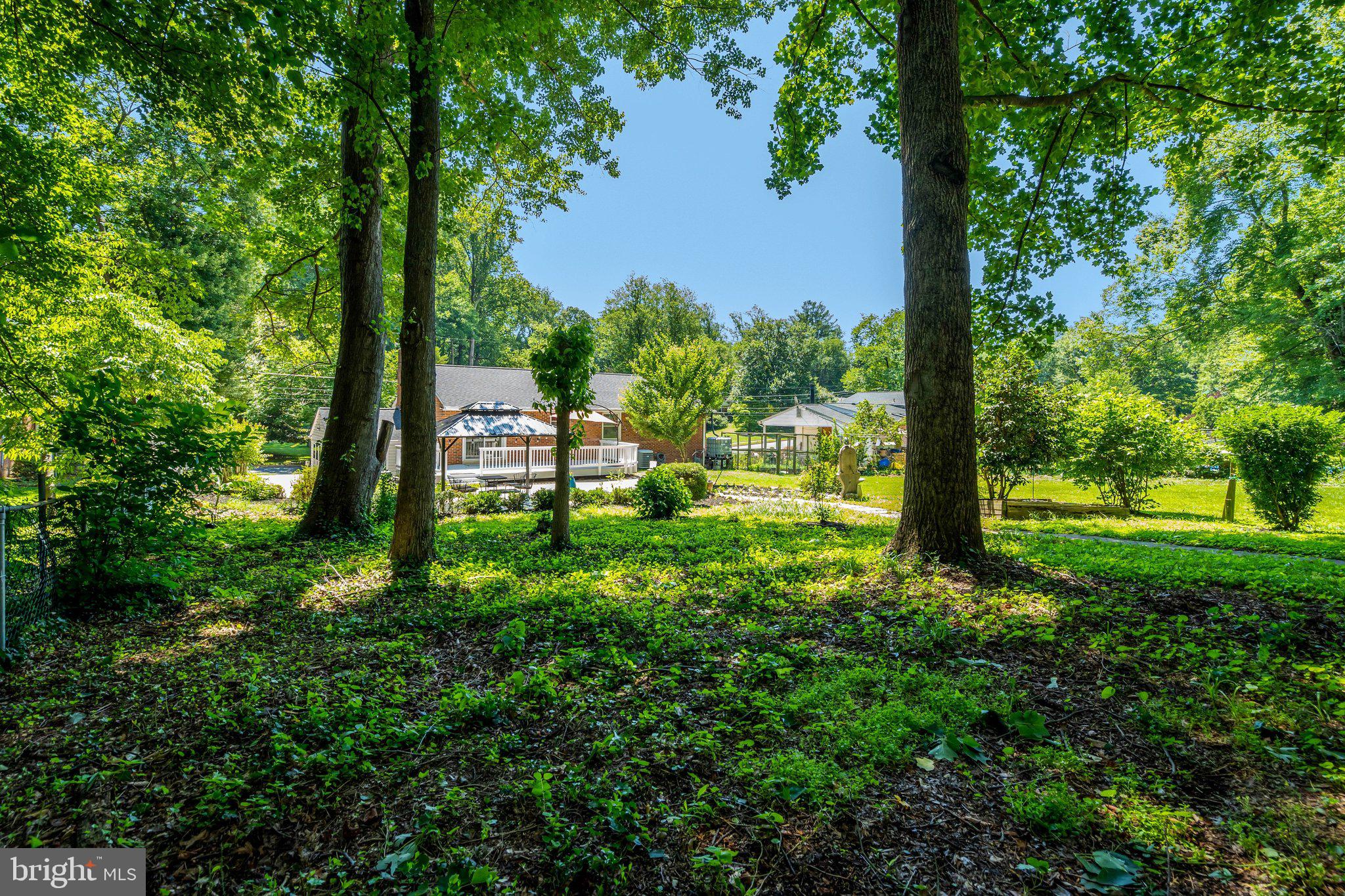 WILLOW WOODS - Residential