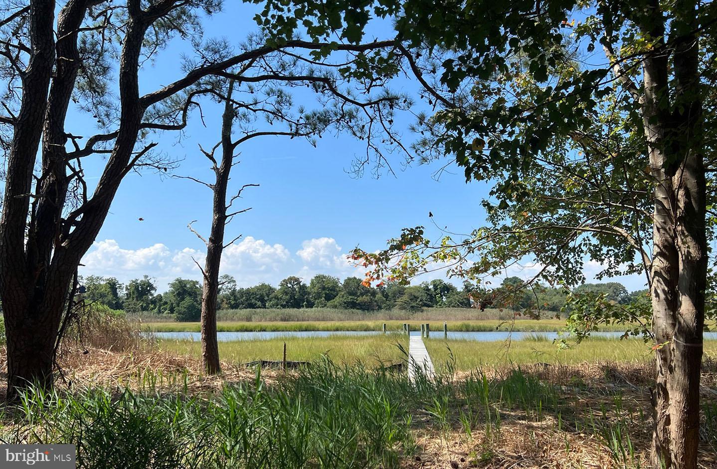 NORTH SHORES - Land