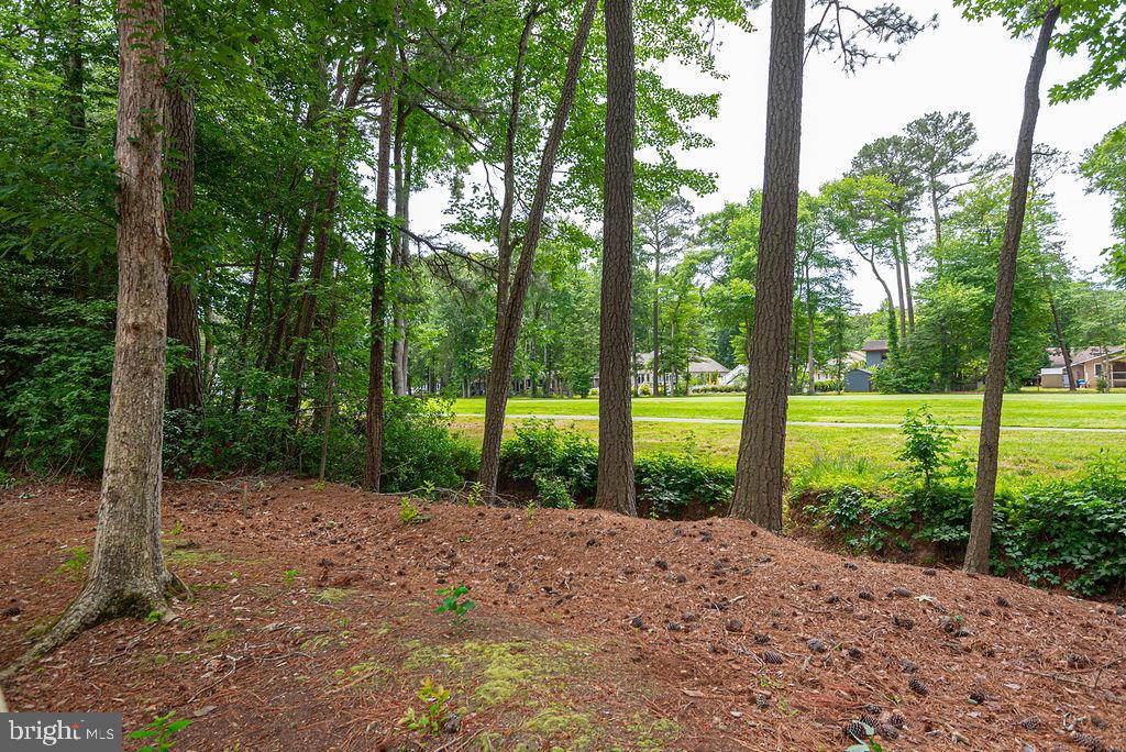 OCEAN PINES - NEWPORT - Residential
