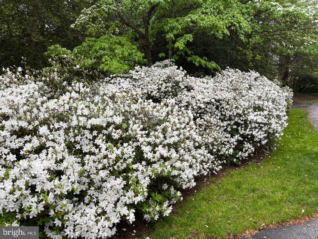 STONINGTON - Residential
