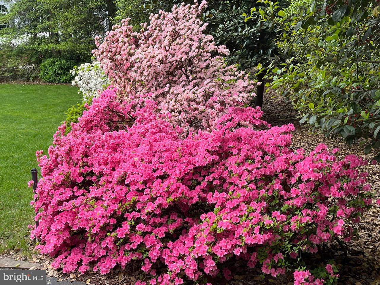 STONINGTON - Residential