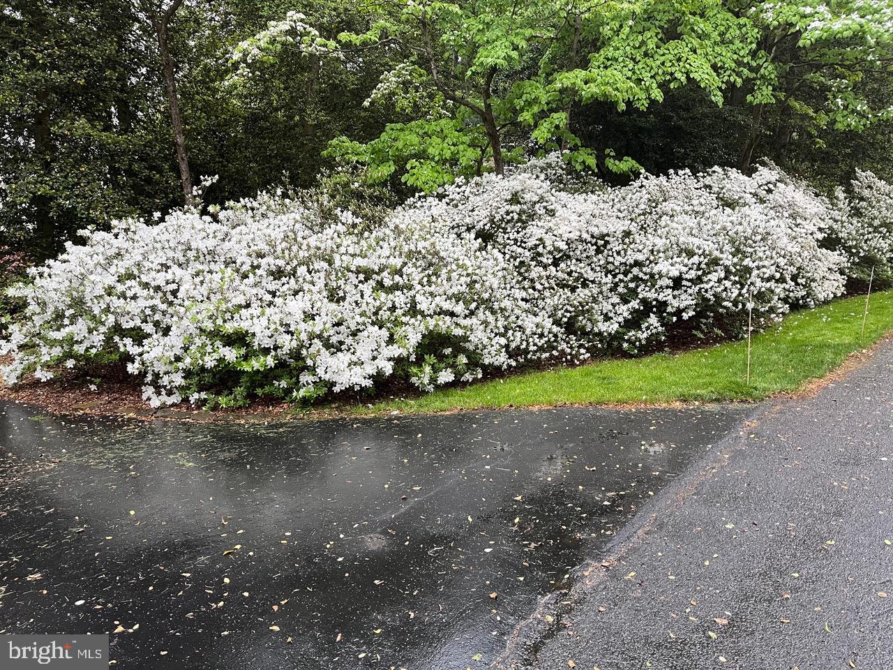STONINGTON - Residential
