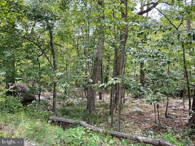 Are you looking for a quiet place to retreat? This wooded double lot in Wilde Acres, nestled against the backdrop of Great North Mountain, could be the perfect choice. Swim in the community's lake, fish, plan a picnic in the park, hike to the mountain falls, and enjoy the serenity of country life. Wilde Acres, in Mountain Falls Park, is just 16 miles from downtown Winchester, VA, where you will find abundant shopping, restaurants, and a large regional medical center.  
Build your home away from home, and come on weekends, or stay for a lifetime.